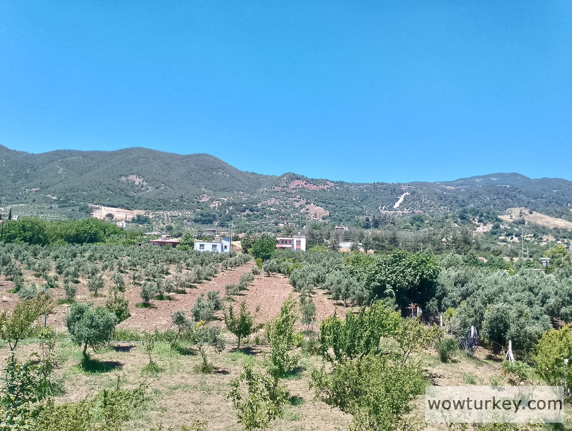 IMG_20240602_130438_HDR