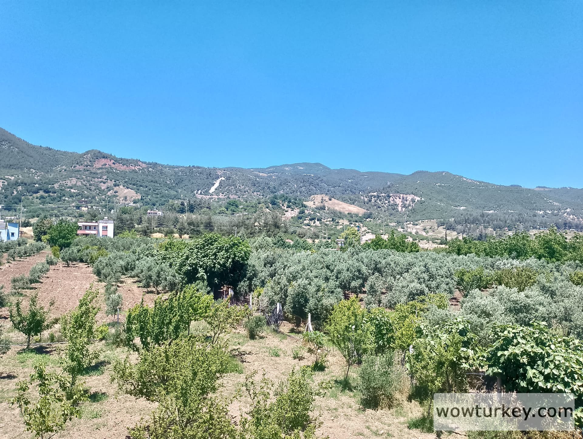 IMG_20240602_130456_HDR