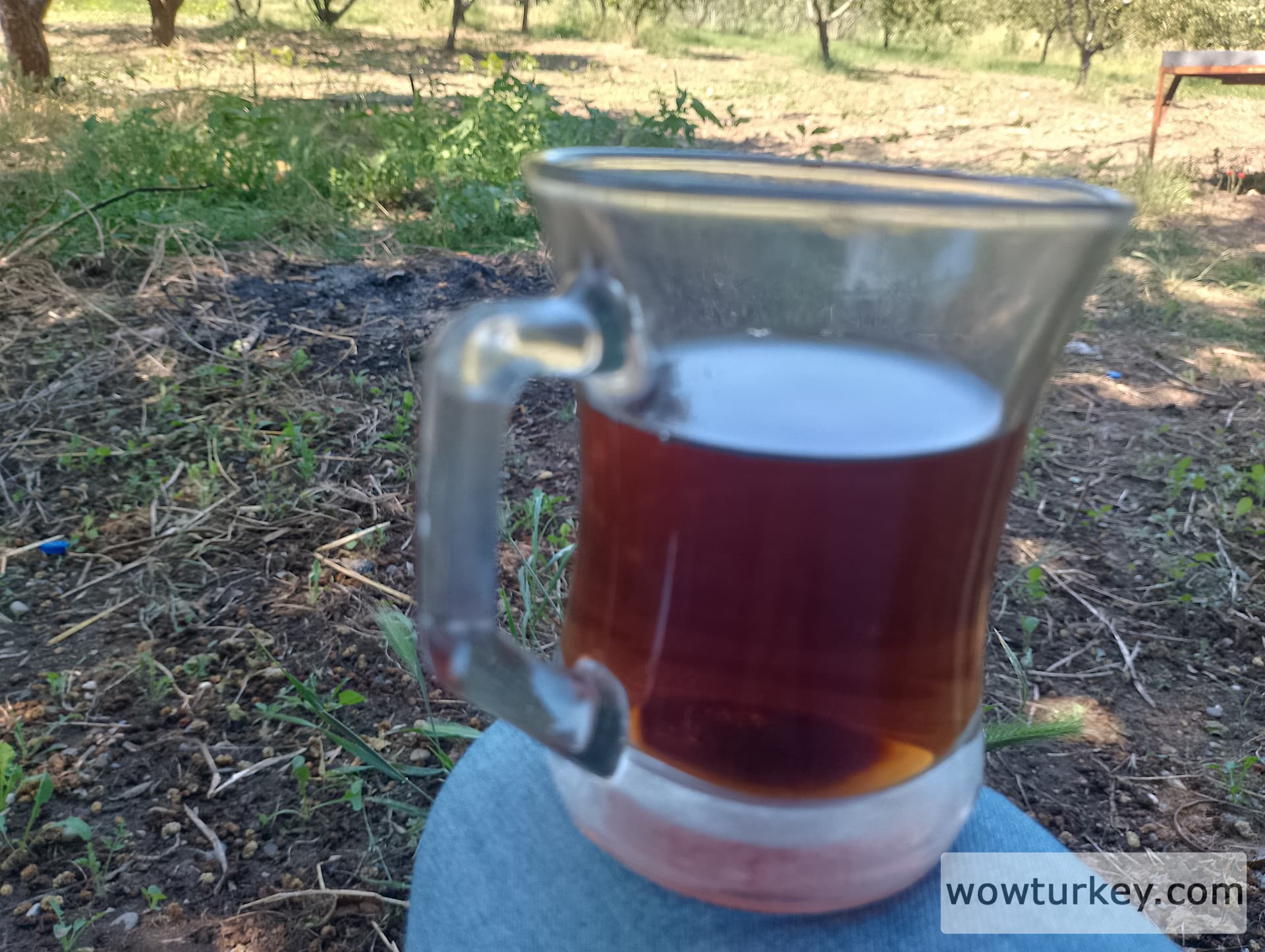 IMG_20240602_145408_HDR