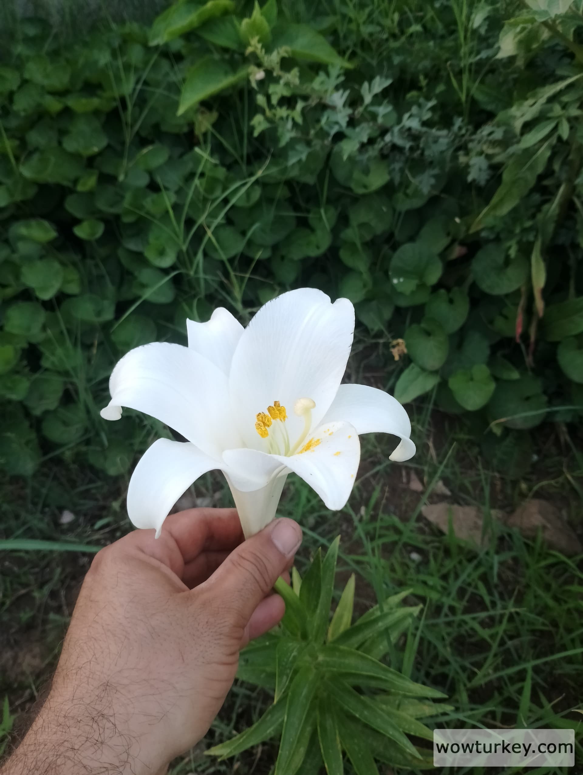 IMG_20240602_192307_HDR