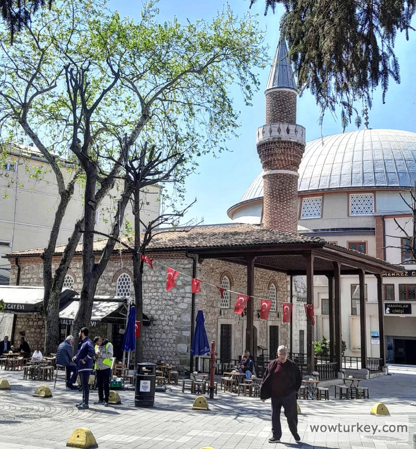 IMG_20240608_062544_272