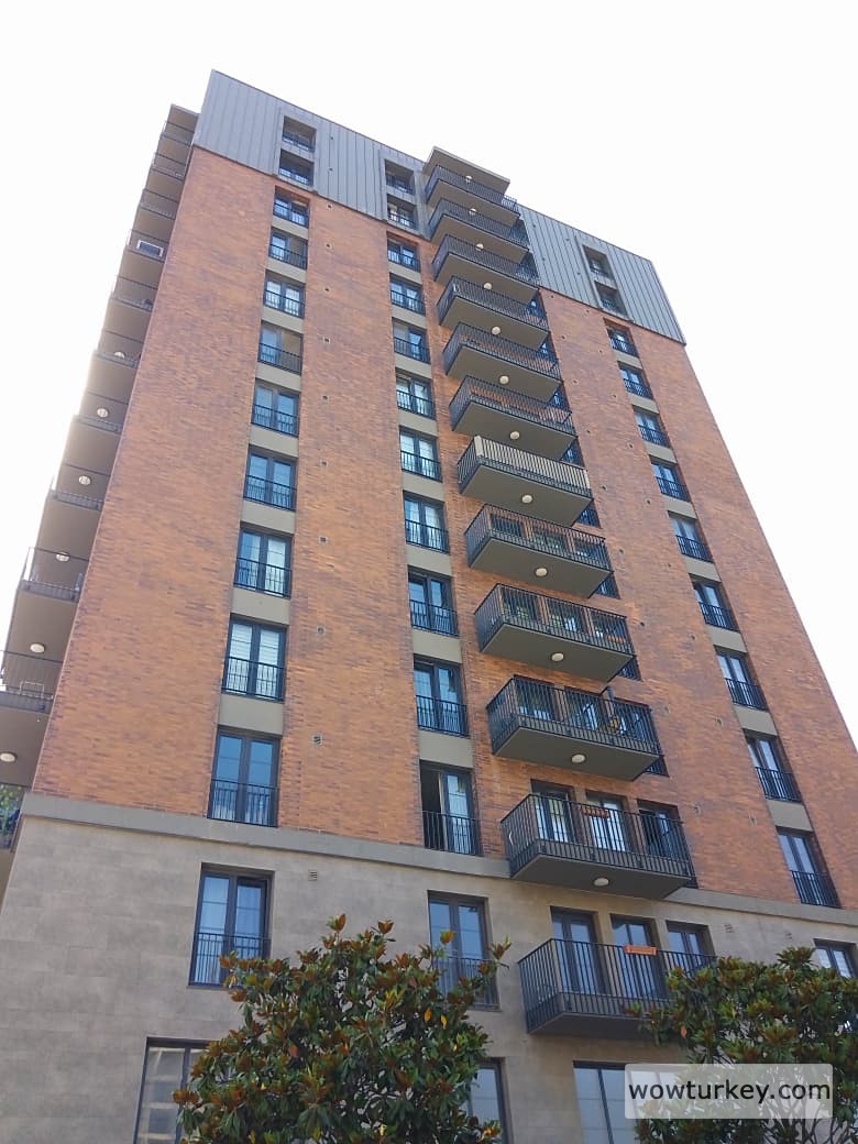 IMG_20240612_155626_631