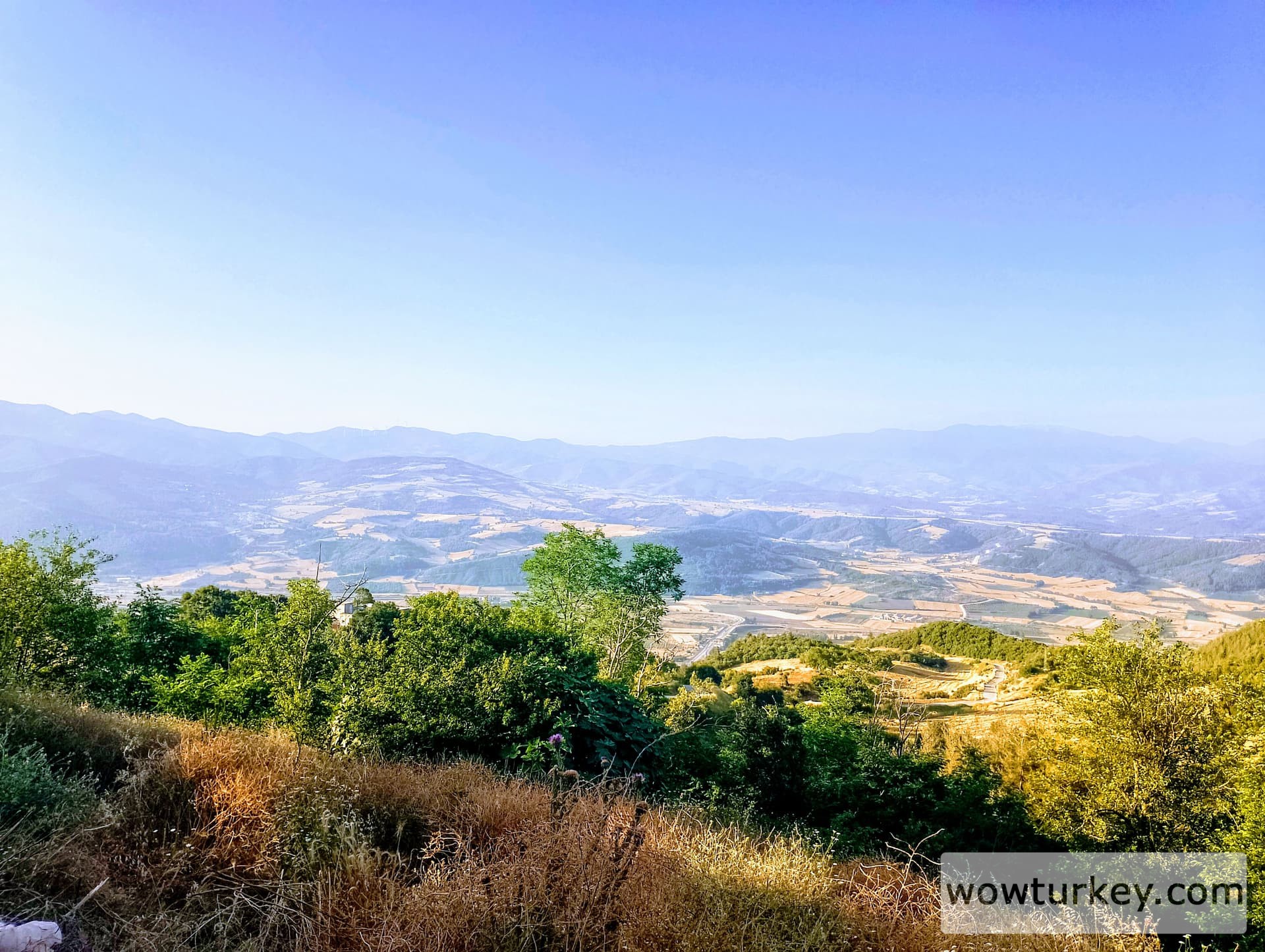 IMG_20240616_063401_HDR~2