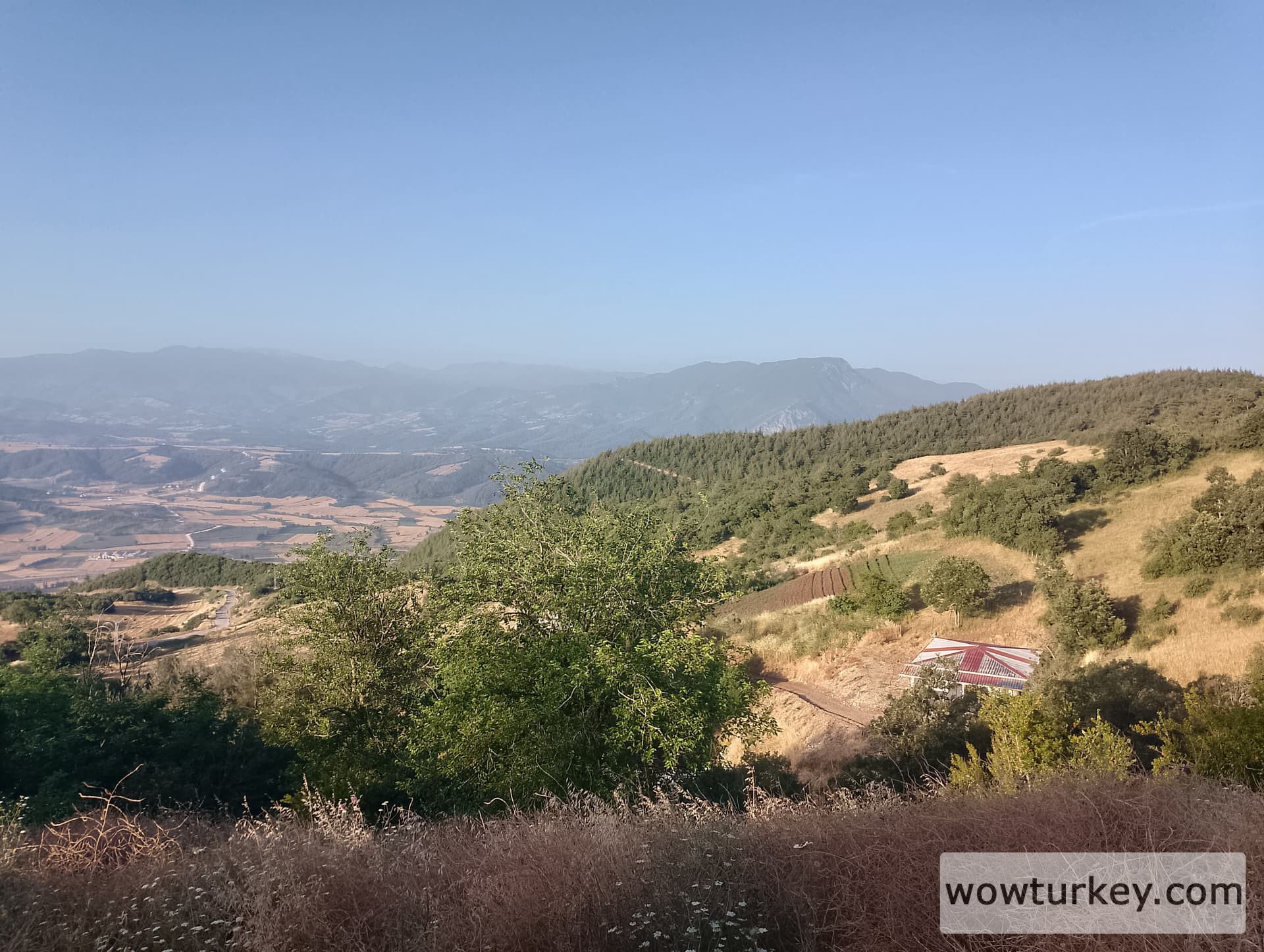 IMG_20240616_063404_HDR