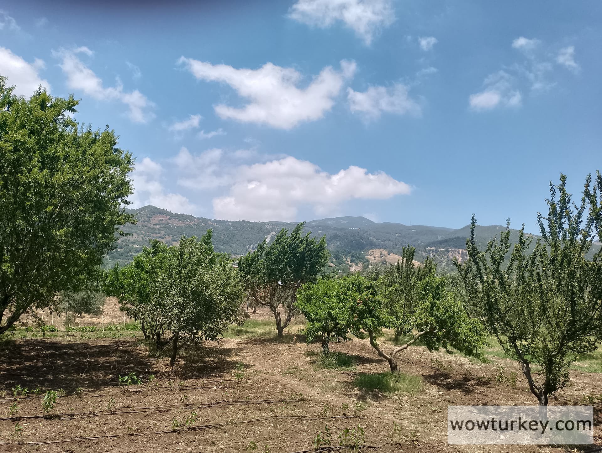 IMG_20240616_131959_HDR