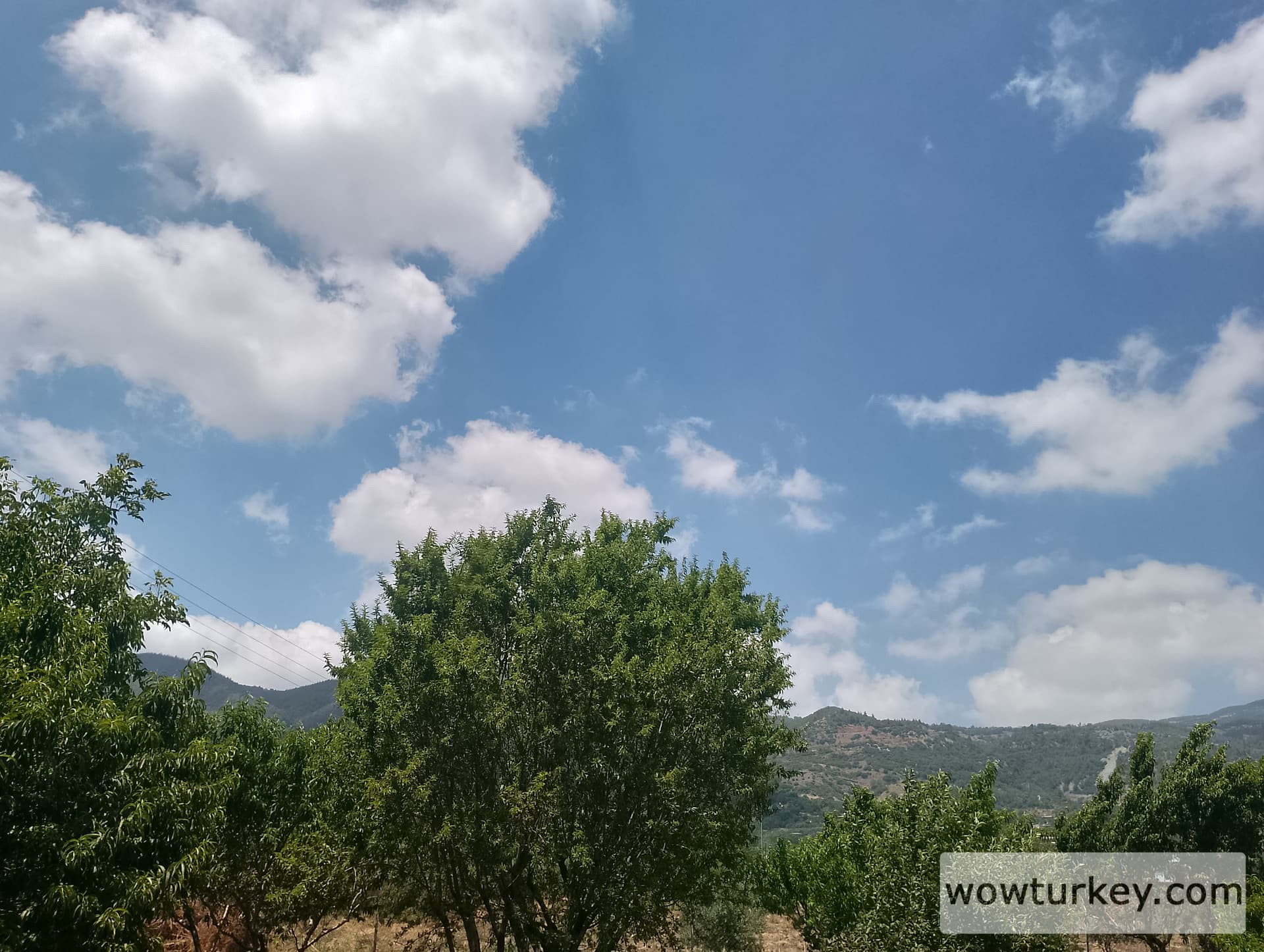 IMG_20240616_132013_HDR