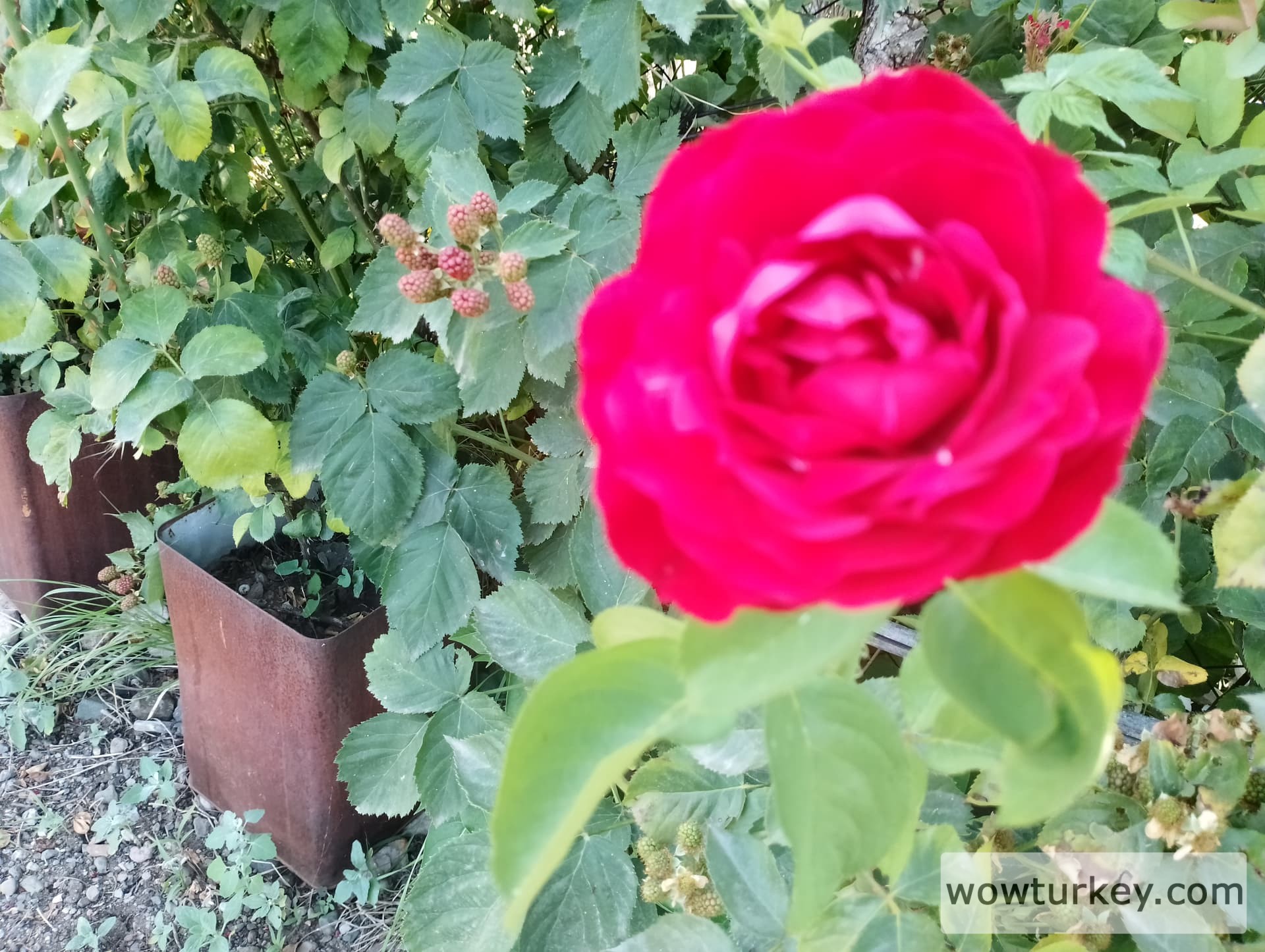 IMG_20240616_160039_HDR