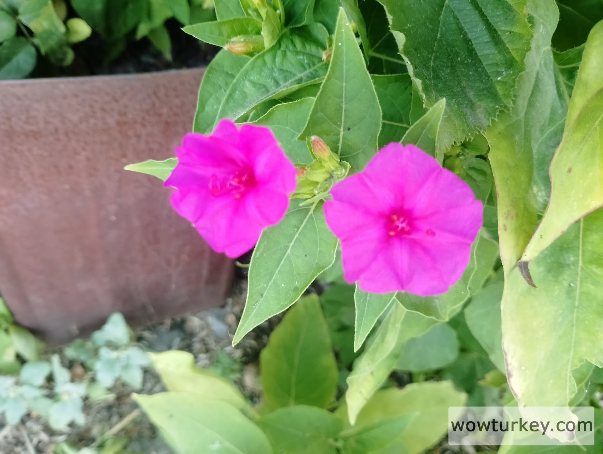 IMG_20240616_160058_HDR