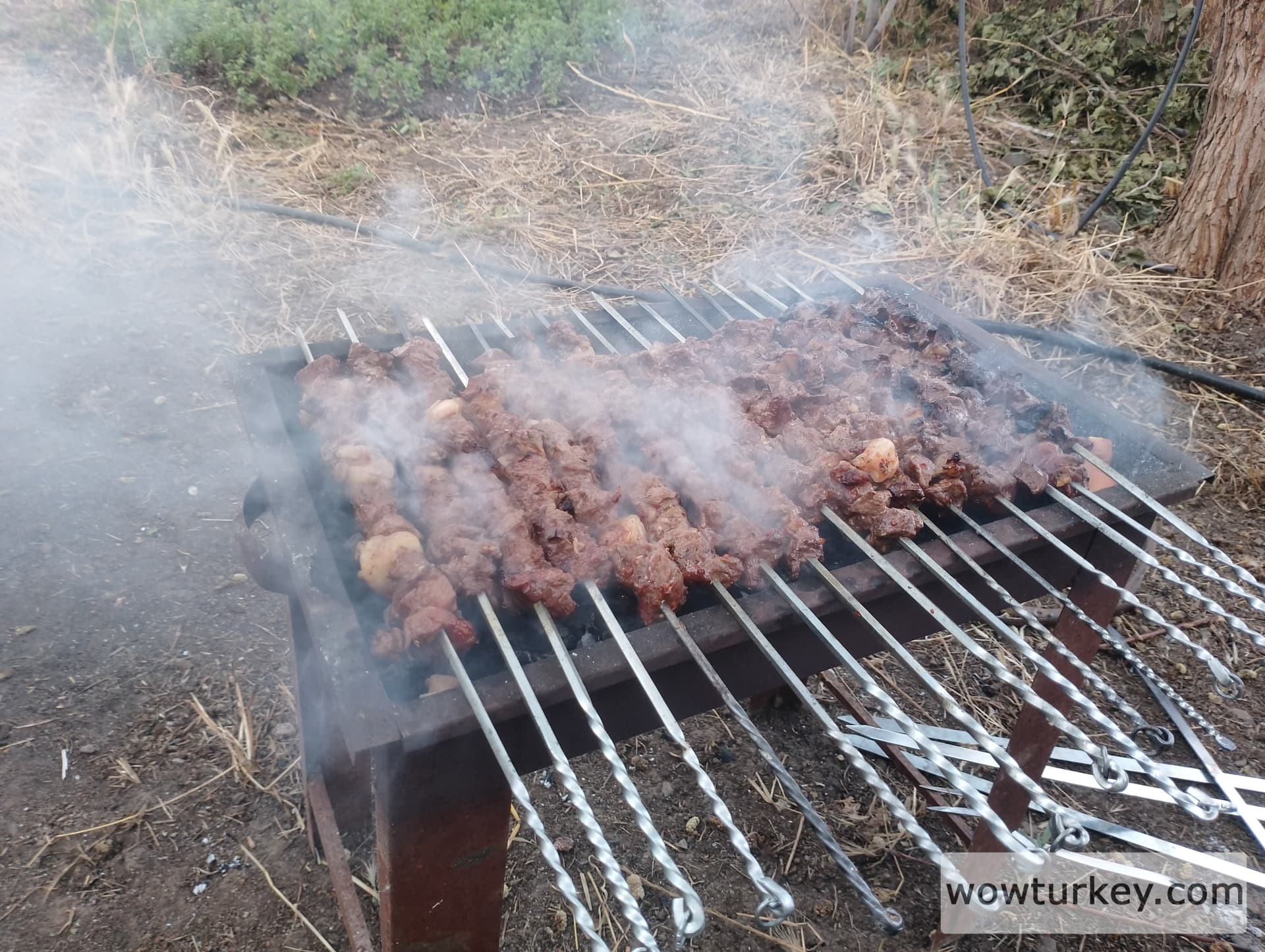 IMG_20240616_190051_HDR