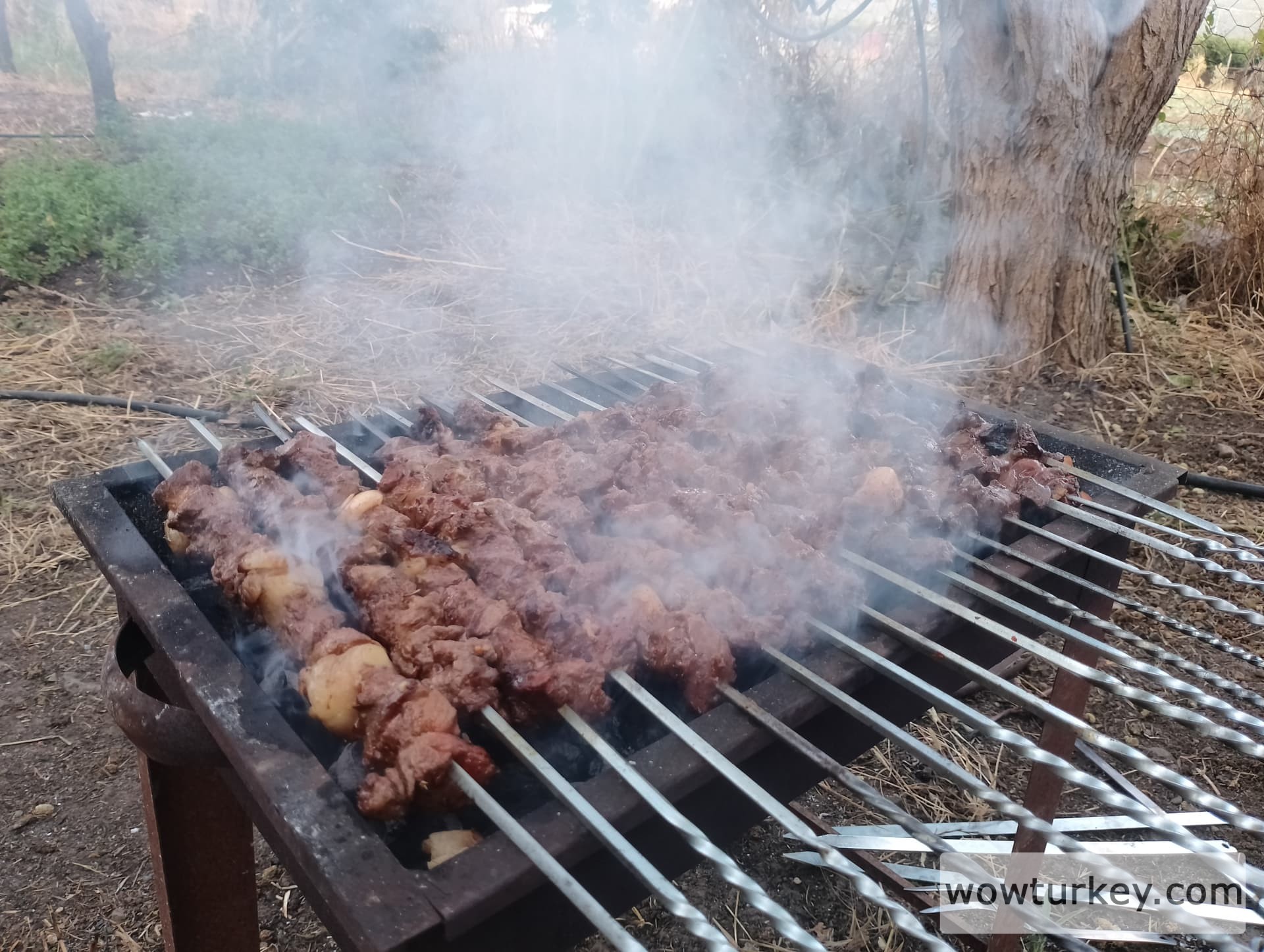 IMG_20240616_190058_HDR