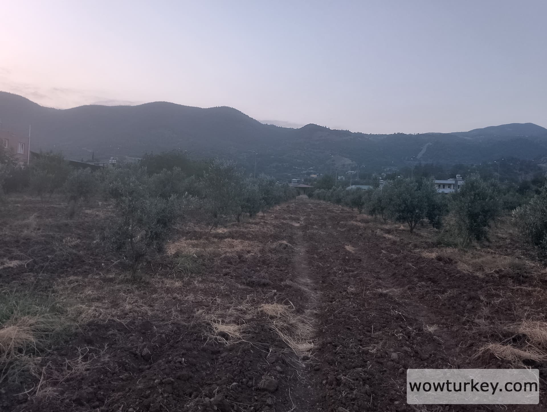 IMG_20240616_194432_HDR