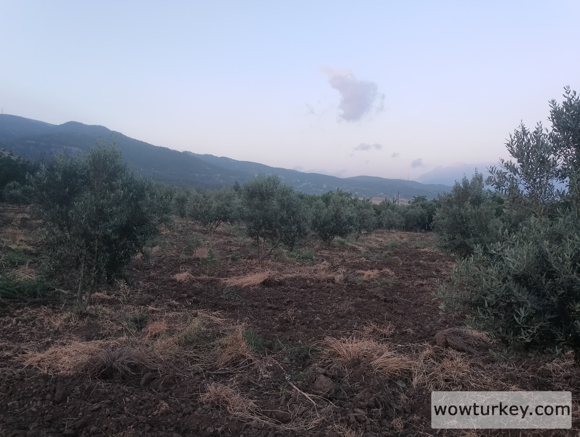 IMG_20240616_194447_HDR