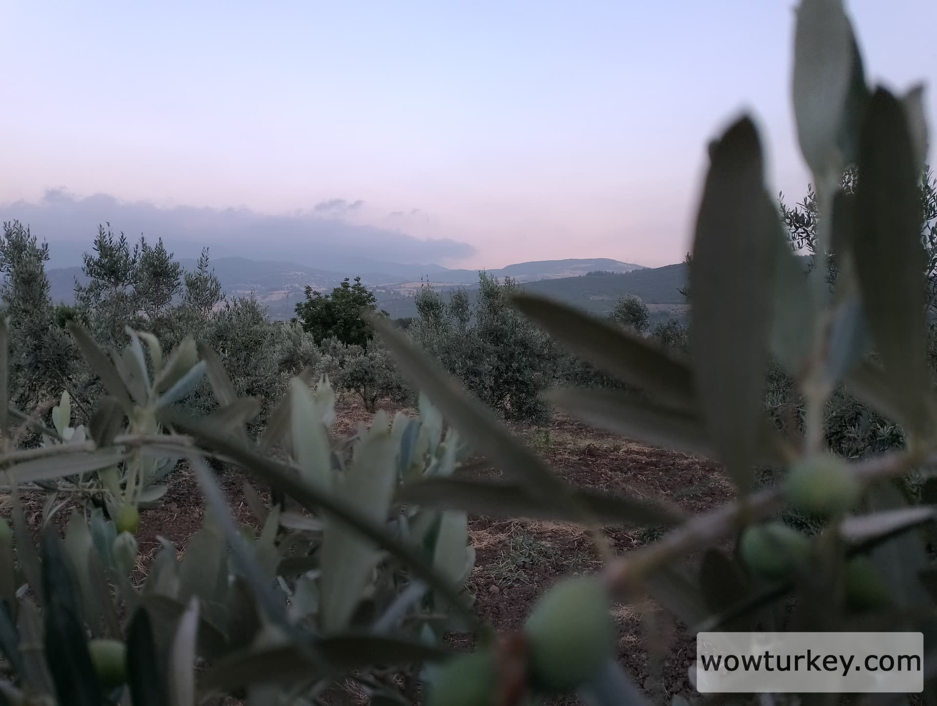 IMG_20240616_194943_HDR