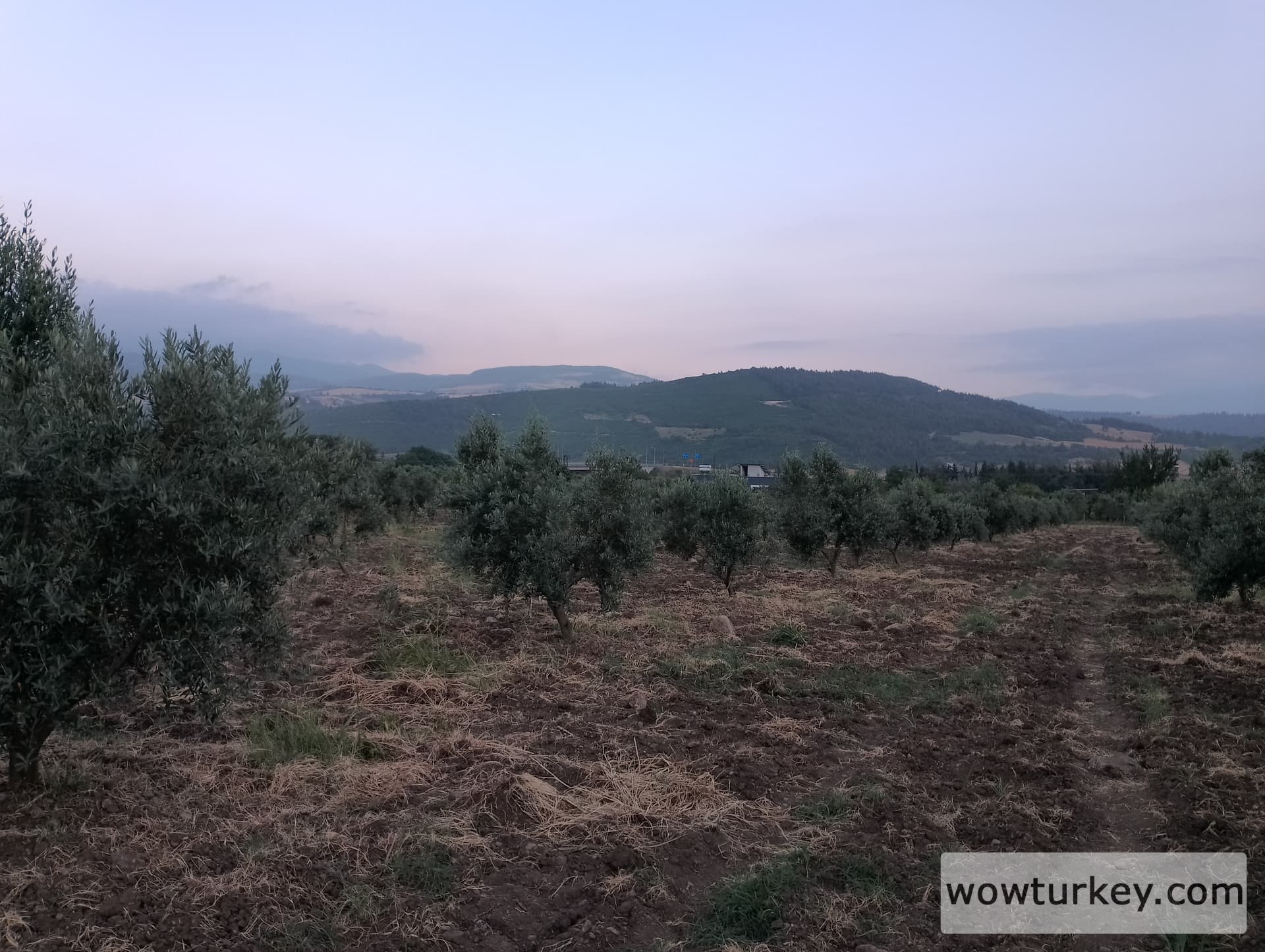 IMG_20240616_195043_HDR