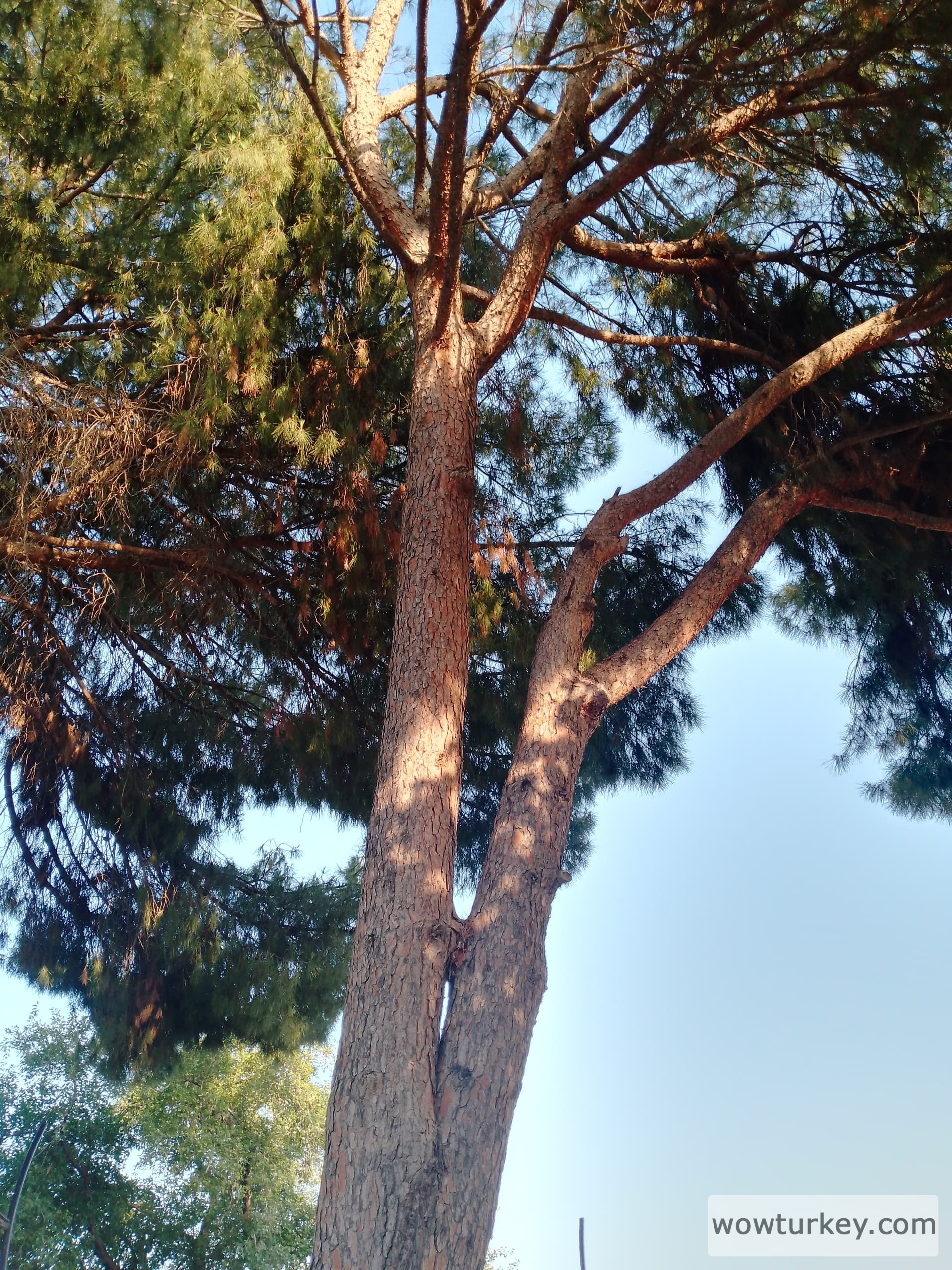 IMG_20240619_190143_799