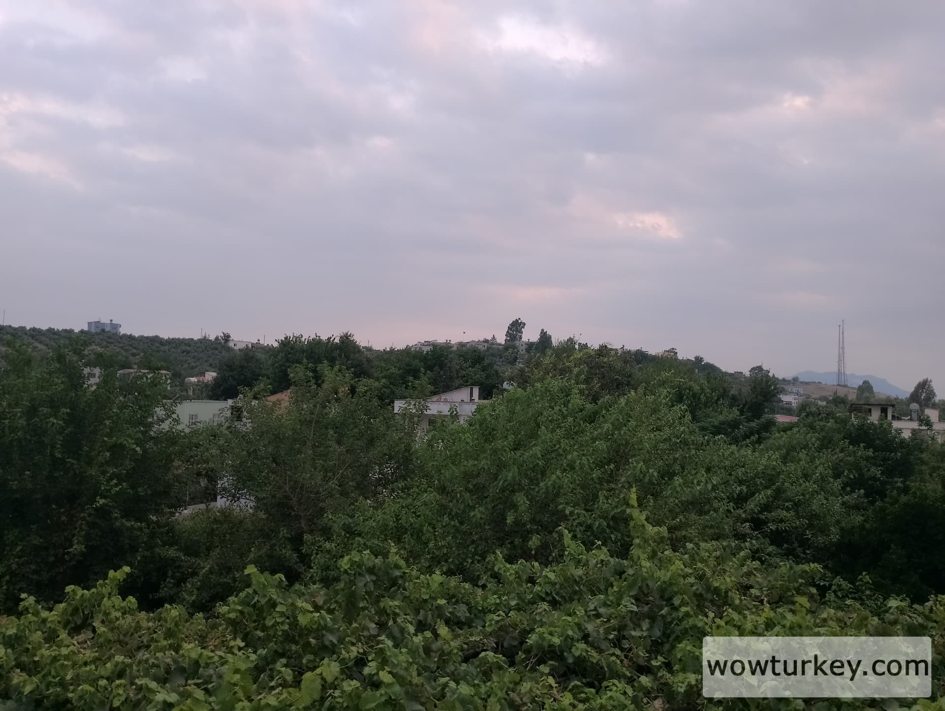 IMG_20240623_193648_HDR