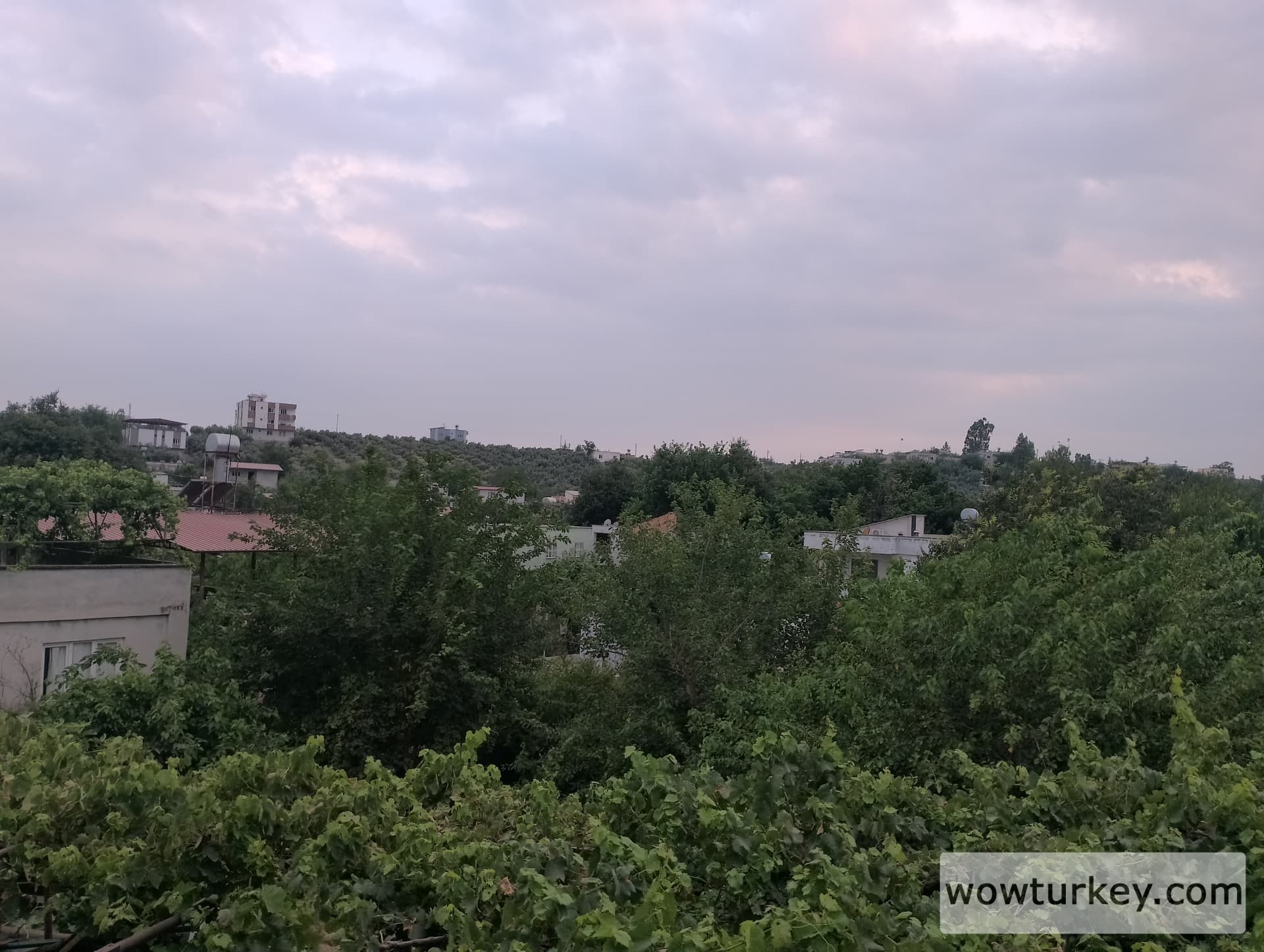 IMG_20240623_193651_HDR