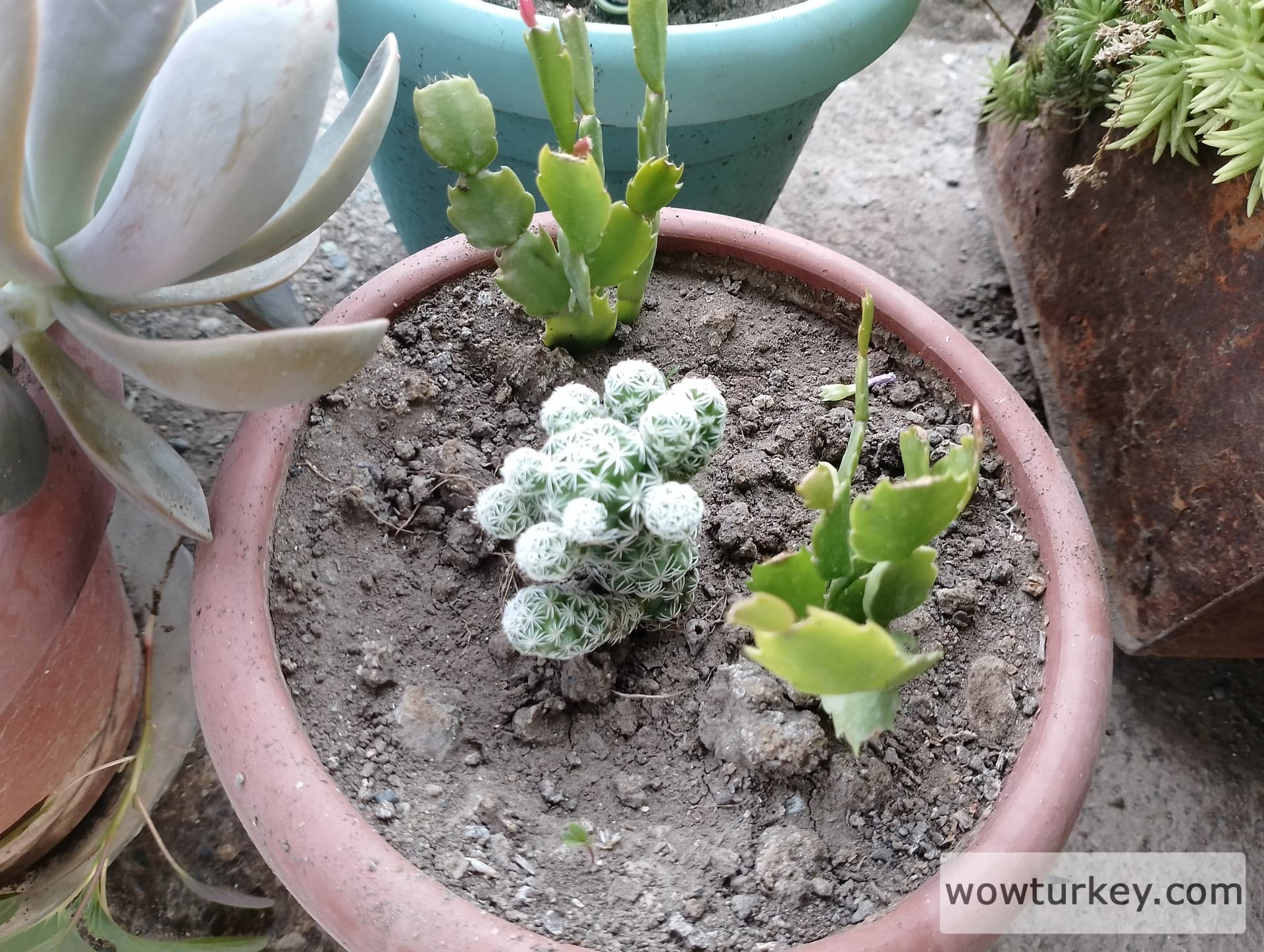 IMG_20240625_183824_HDR