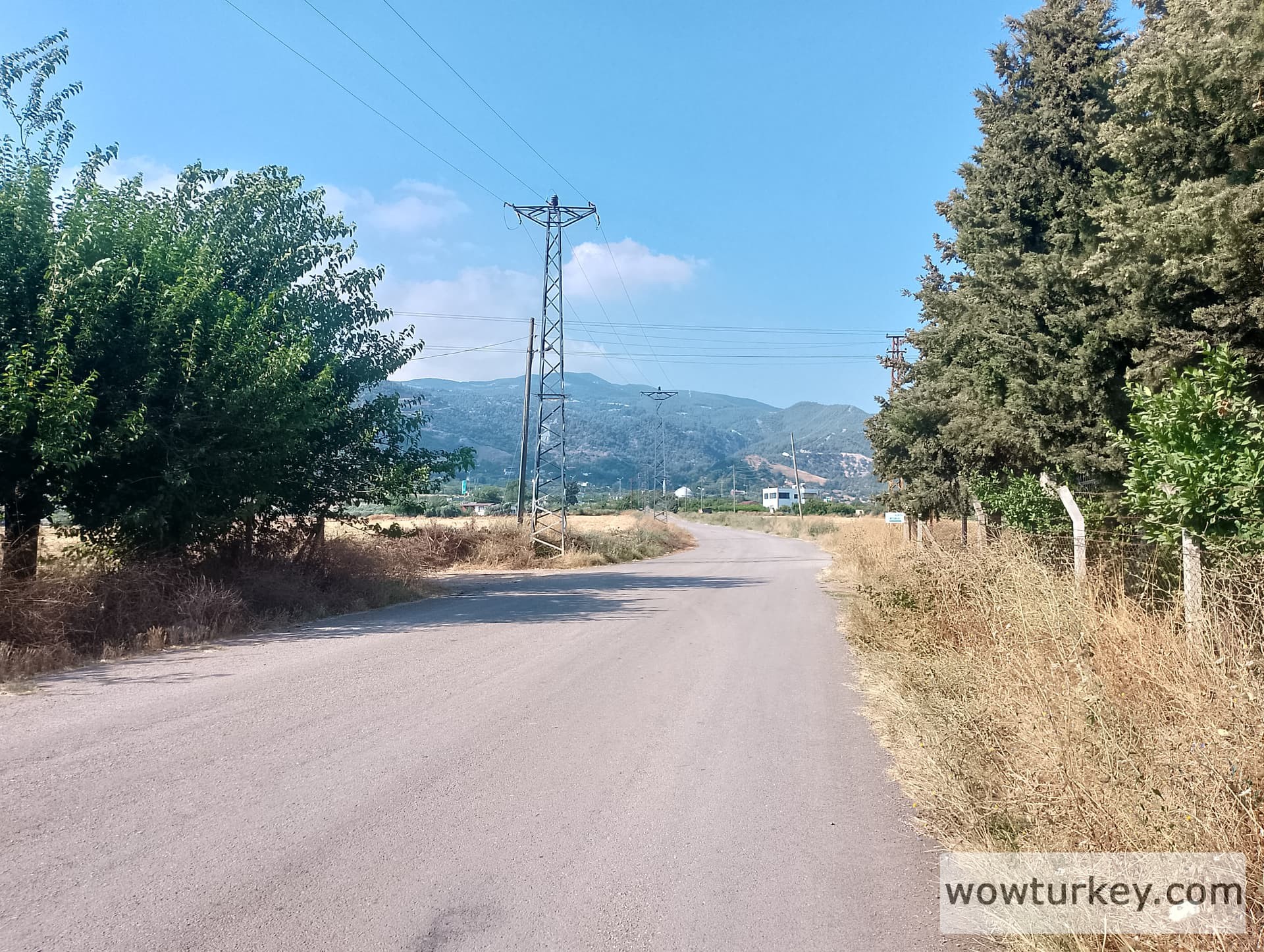 IMG_20240629_163503_HDR