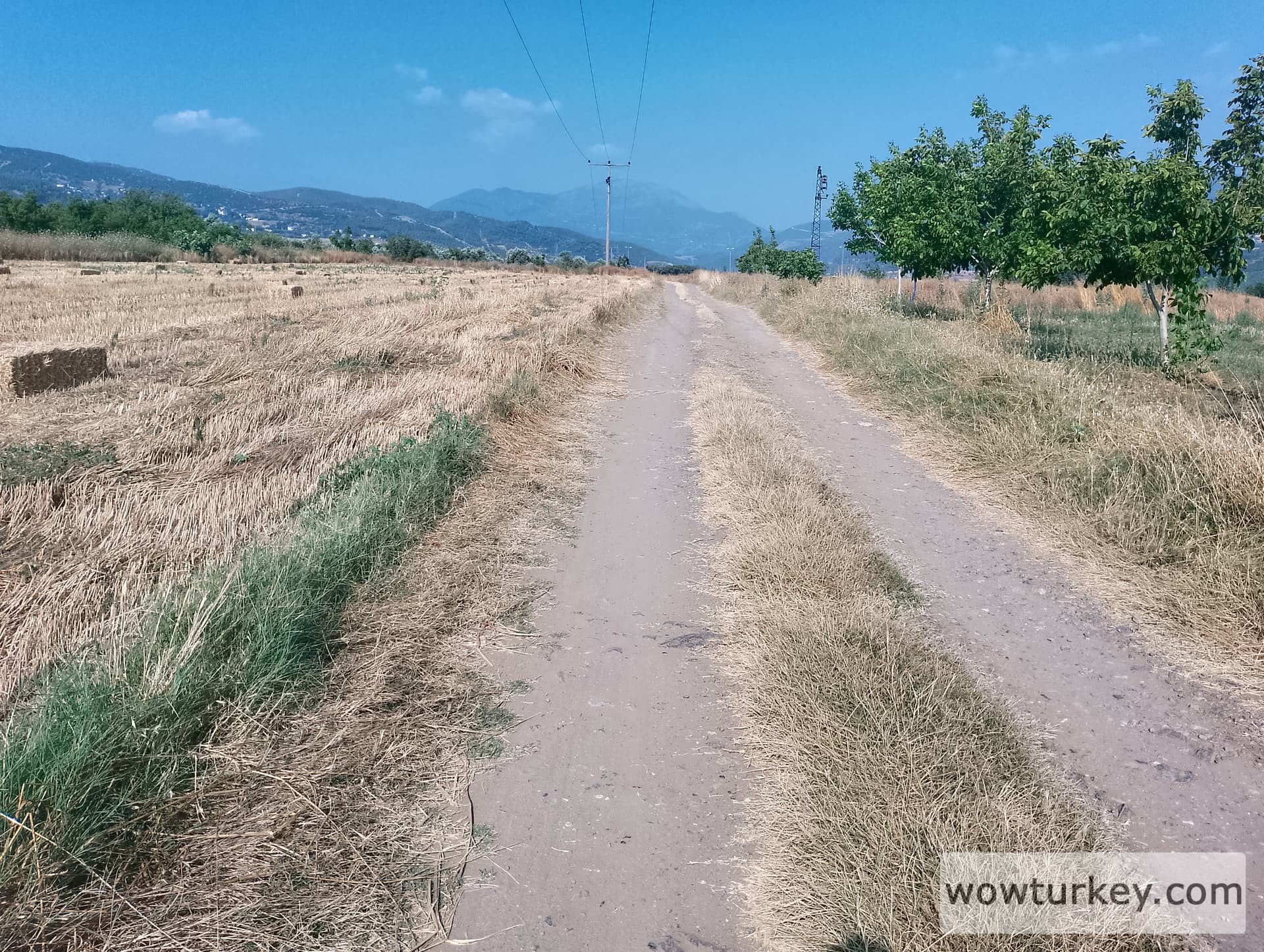 IMG_20240629_164000_HDR