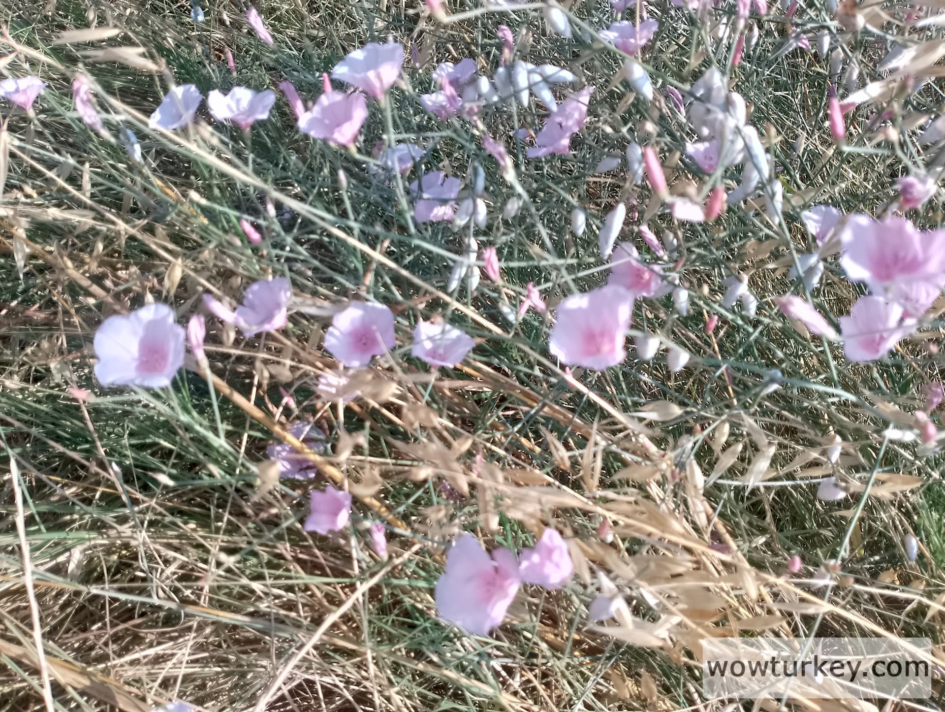 IMG_20240629_164041_HDR