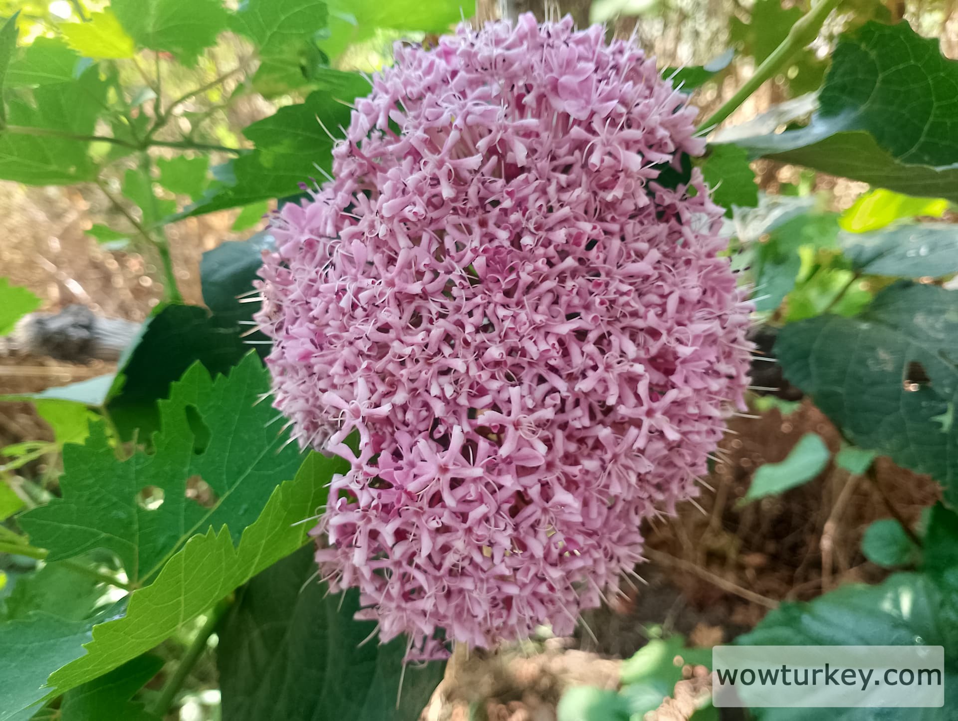 IMG_20240630_101248_HDR