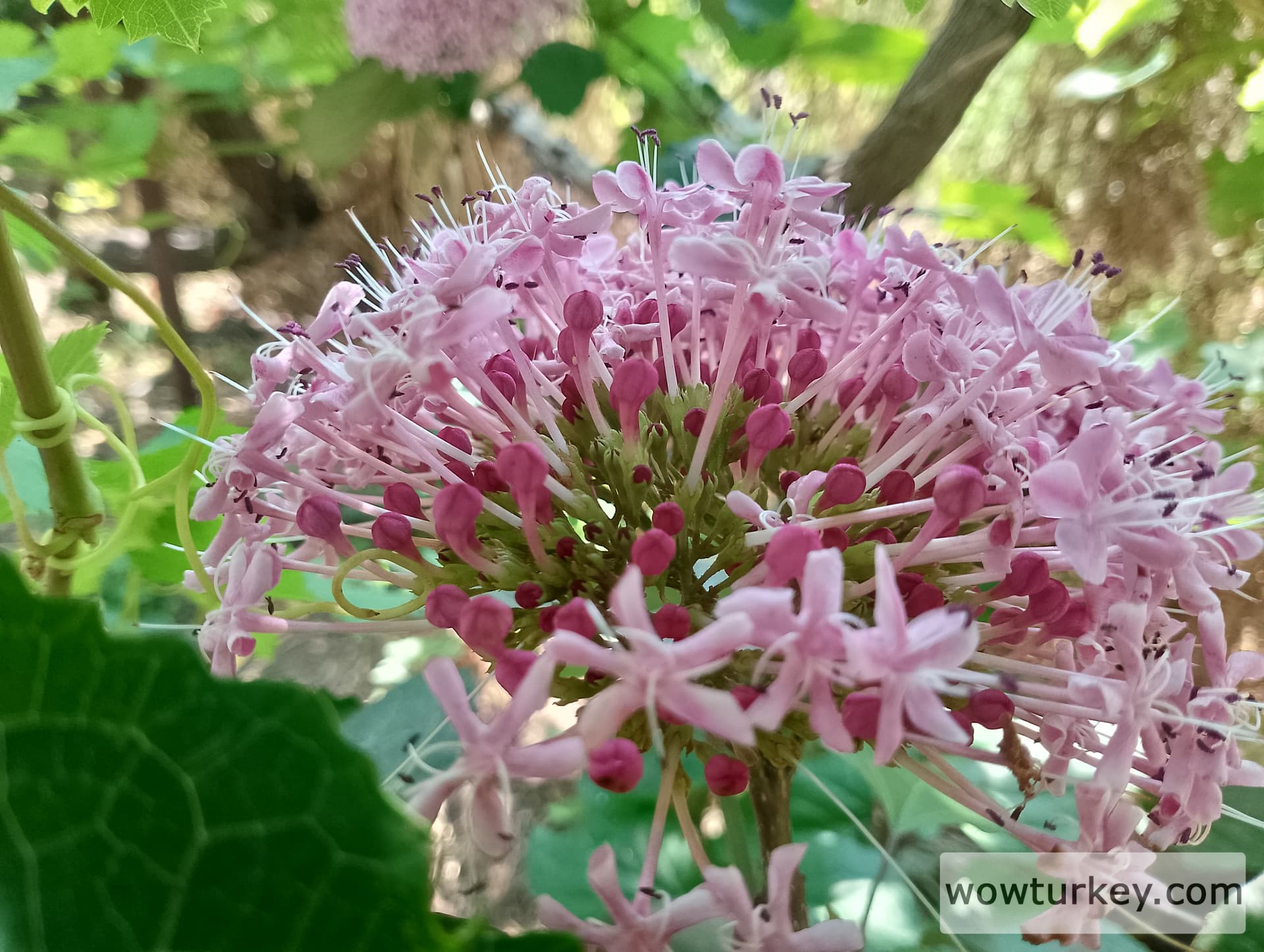 IMG_20240630_101328_HDR