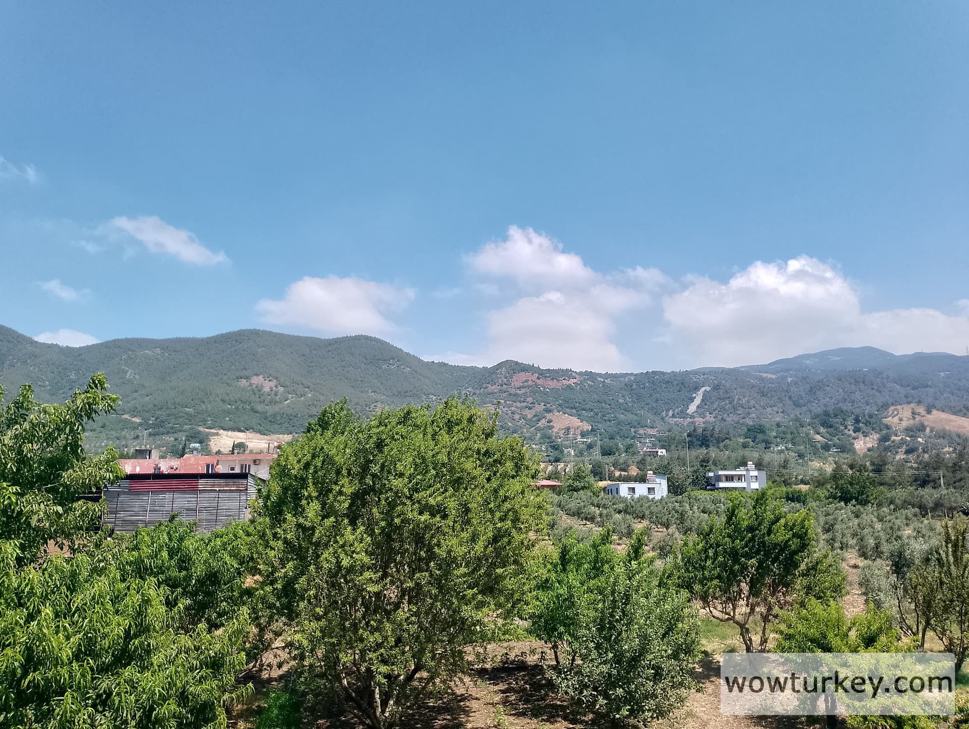 IMG_20240630_111053_HDR