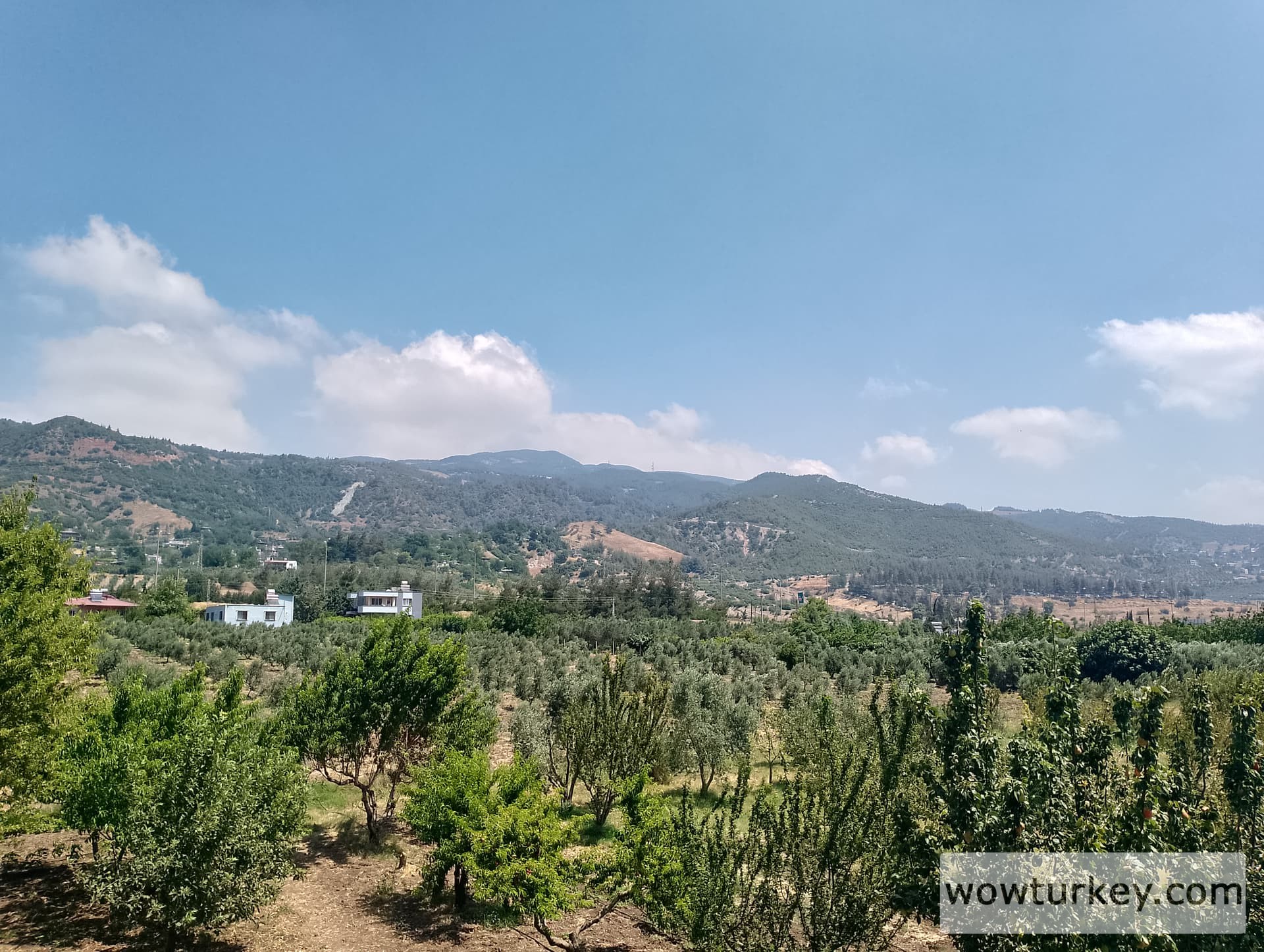 IMG_20240630_111057_HDR