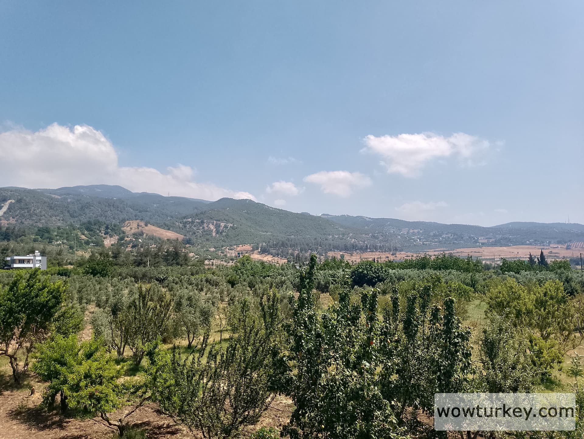 IMG_20240630_111103_HDR