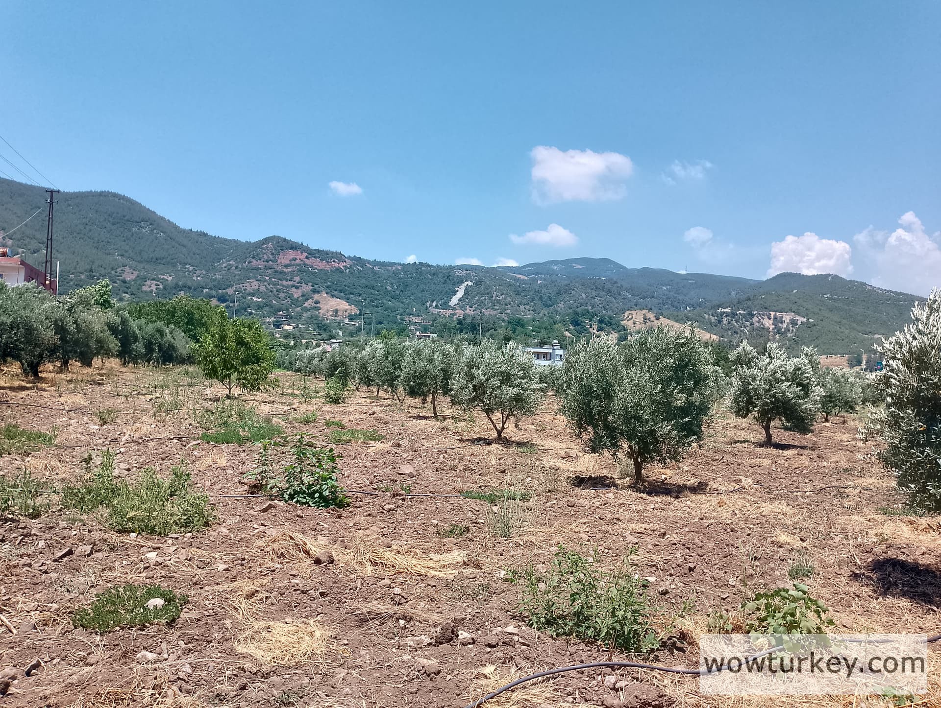 IMG_20240630_130629_HDR