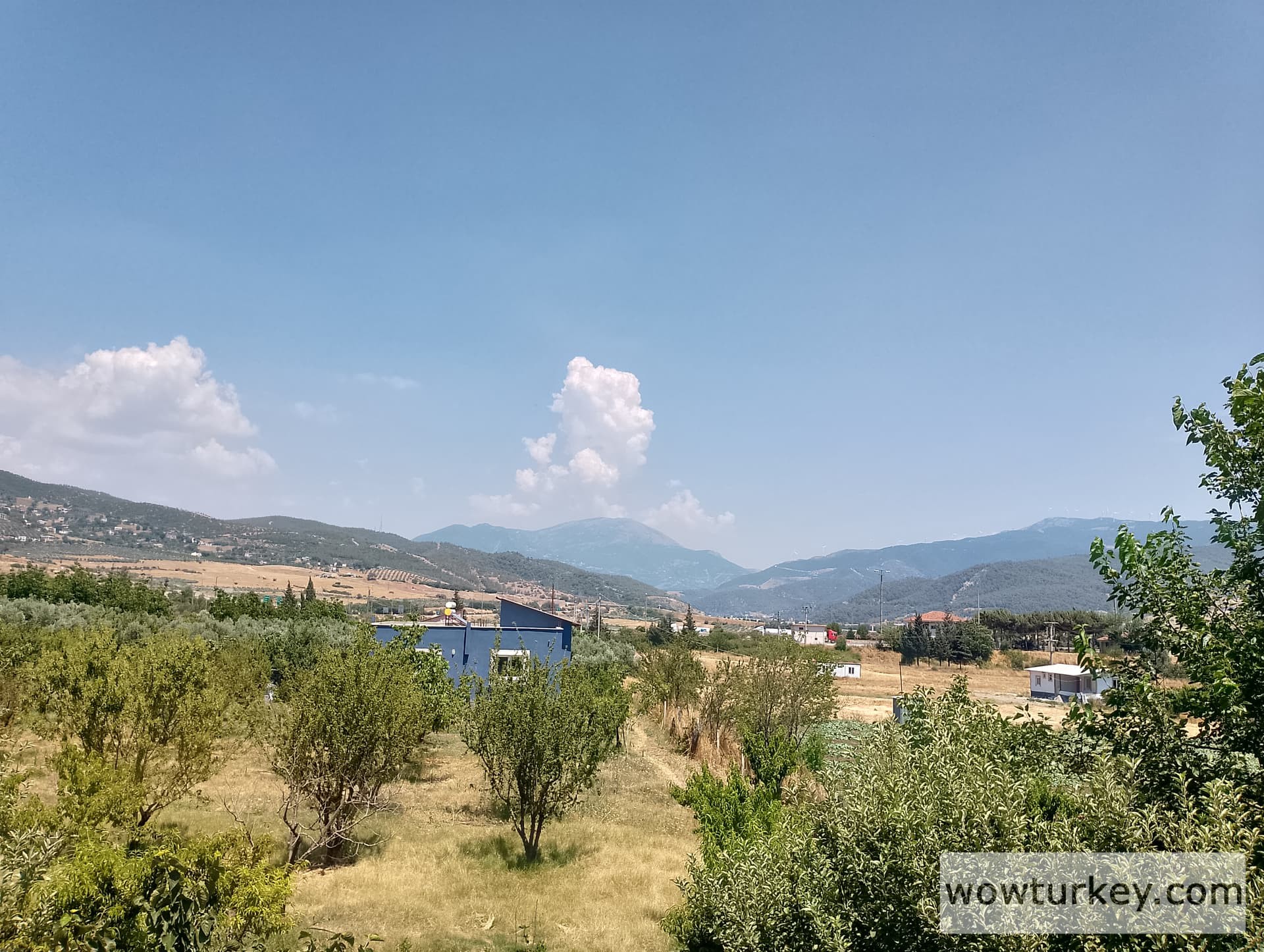 IMG_20240630_134923_HDR