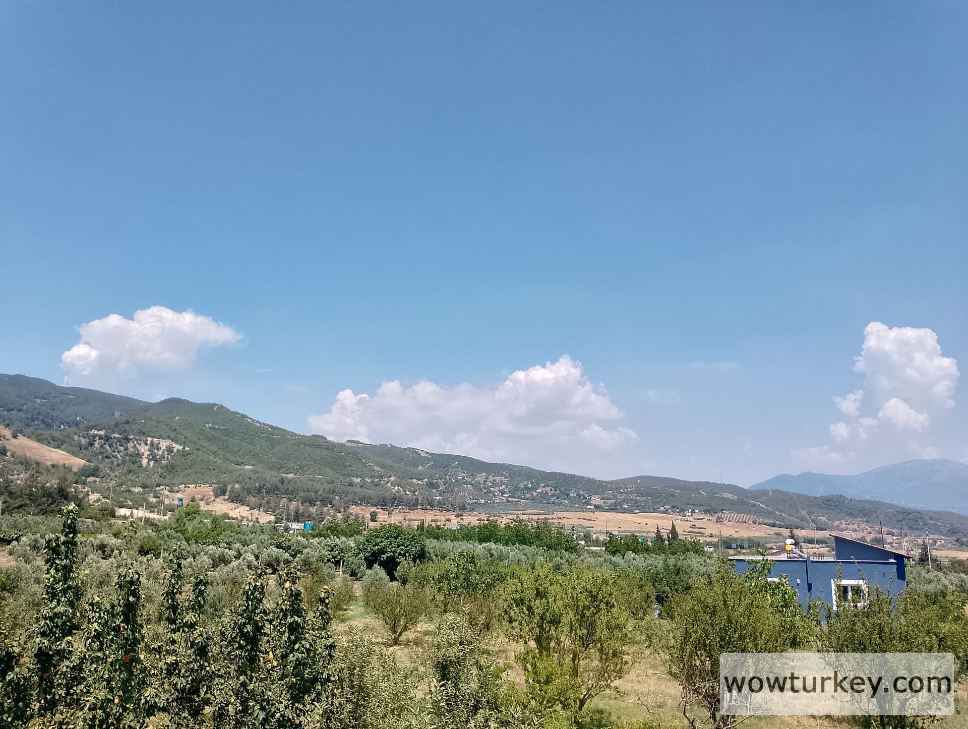 IMG_20240630_134929_HDR