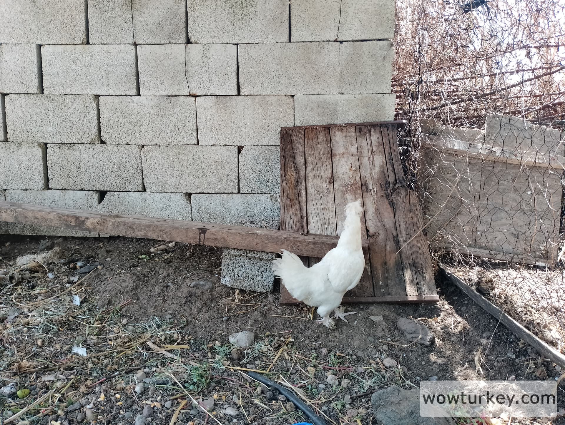 IMG_20240630_135600_HDR