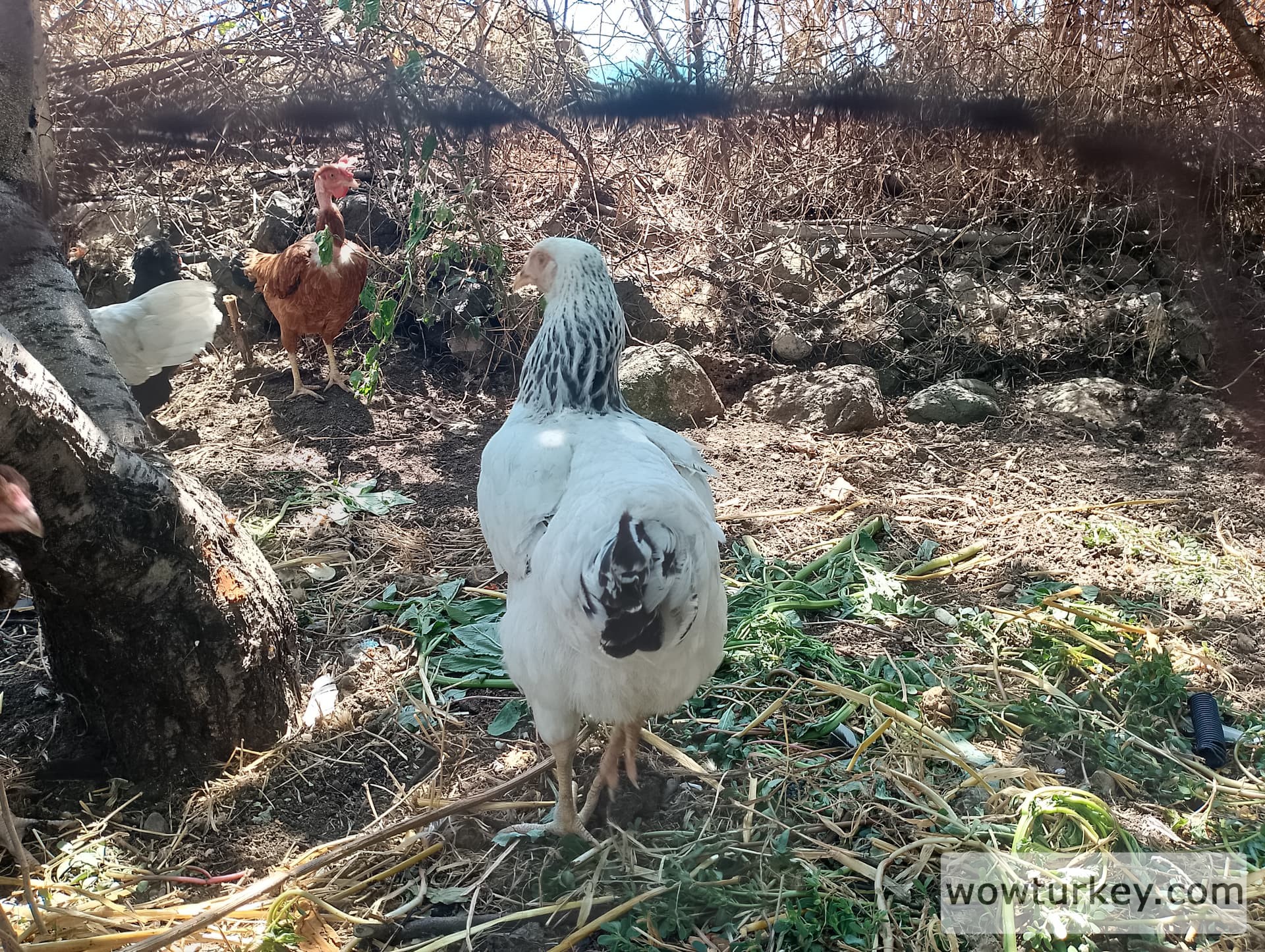 IMG_20240630_135628_HDR