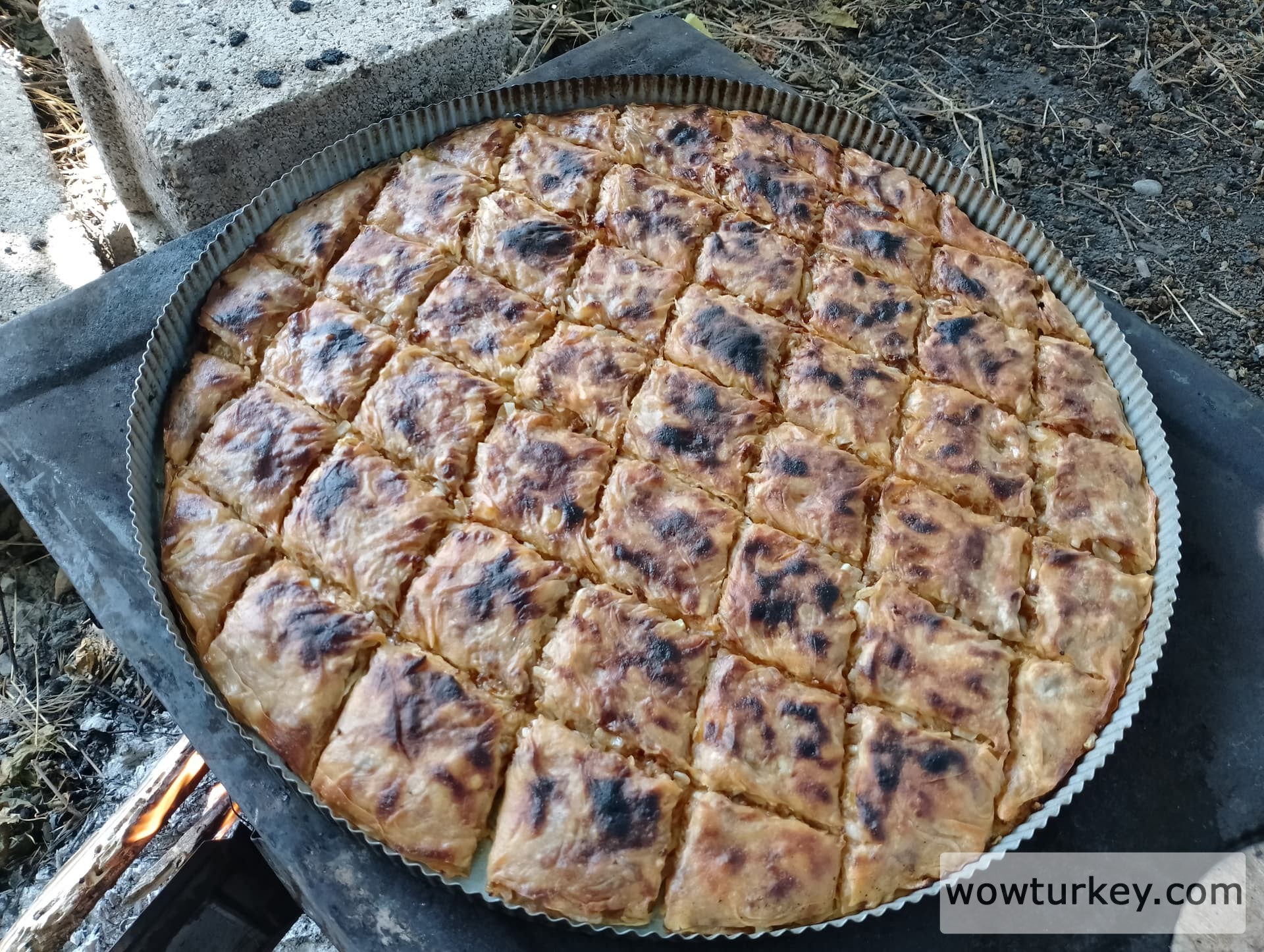 IMG_20240630_145229_HDR