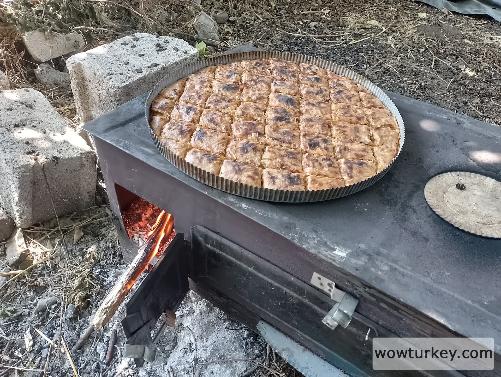 IMG_20240630_145239_HDR