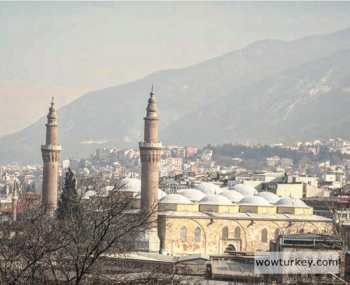 IMG_20240708_183153_382