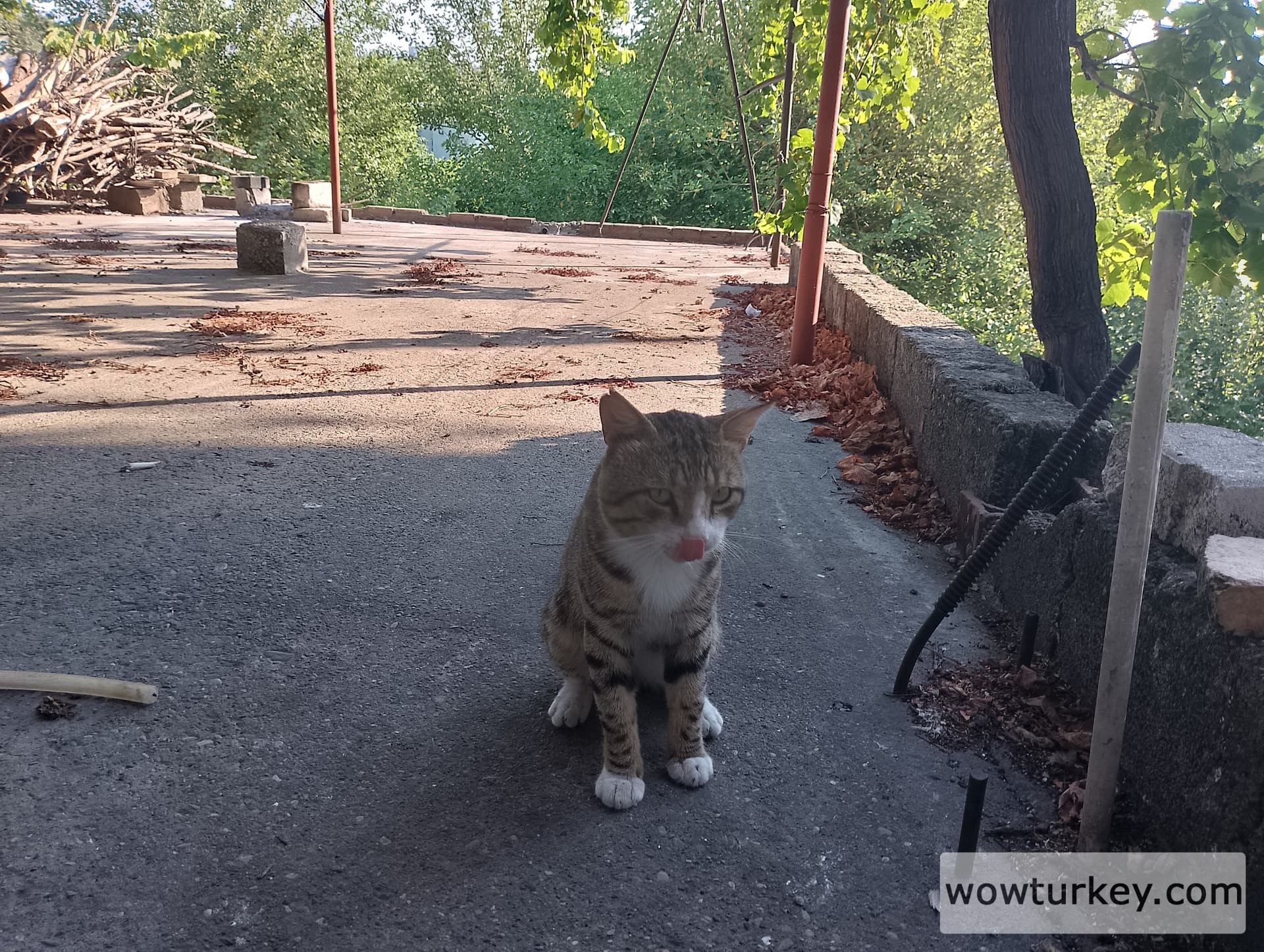 IMG_20240712_173452_HDR