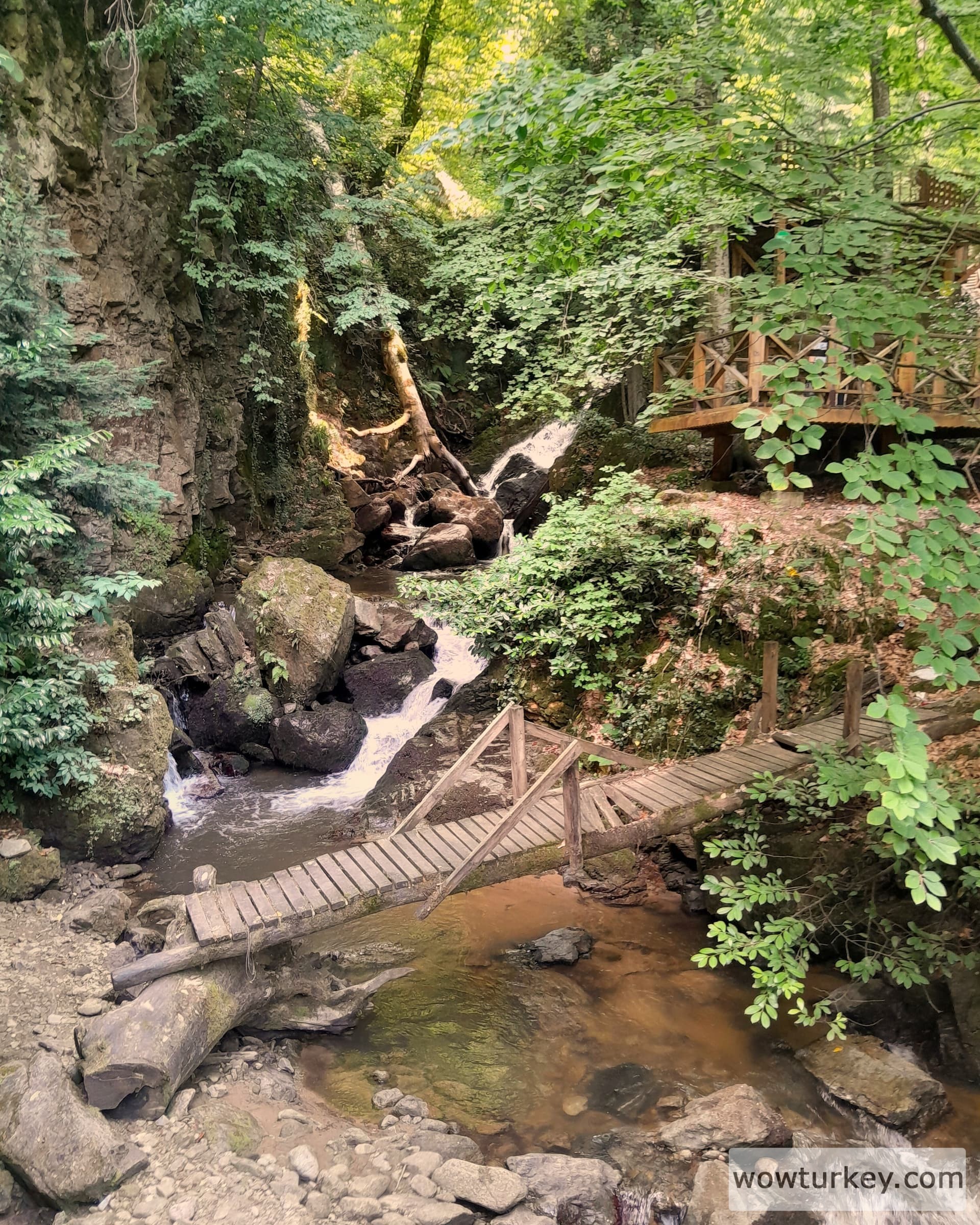 IMG_20240713_134925_803