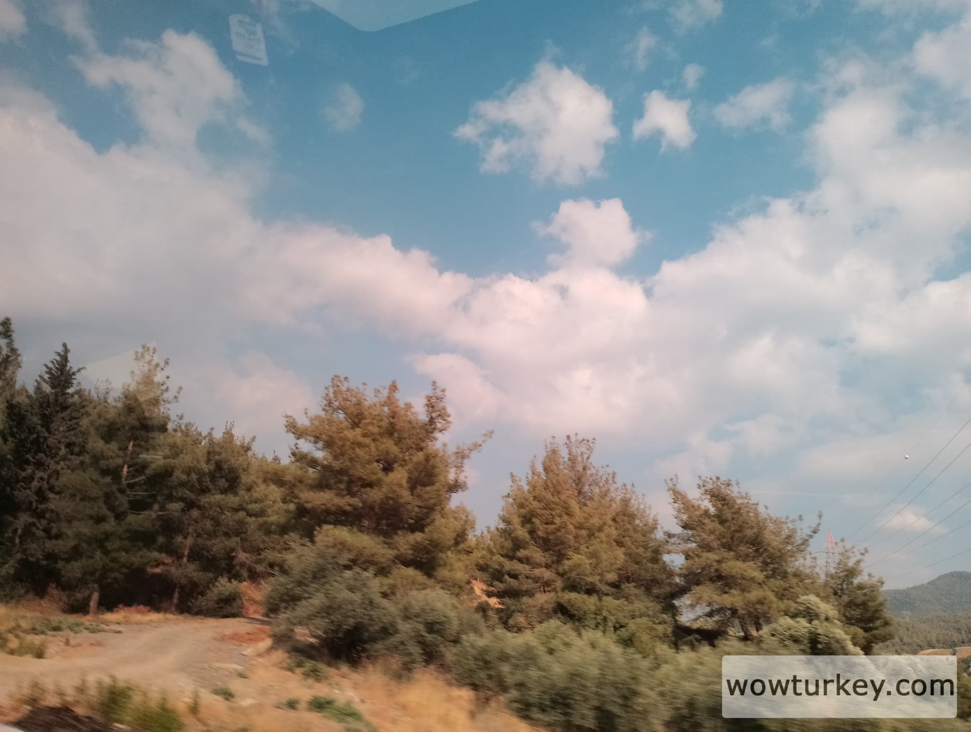 IMG_20240713_163633_HDR