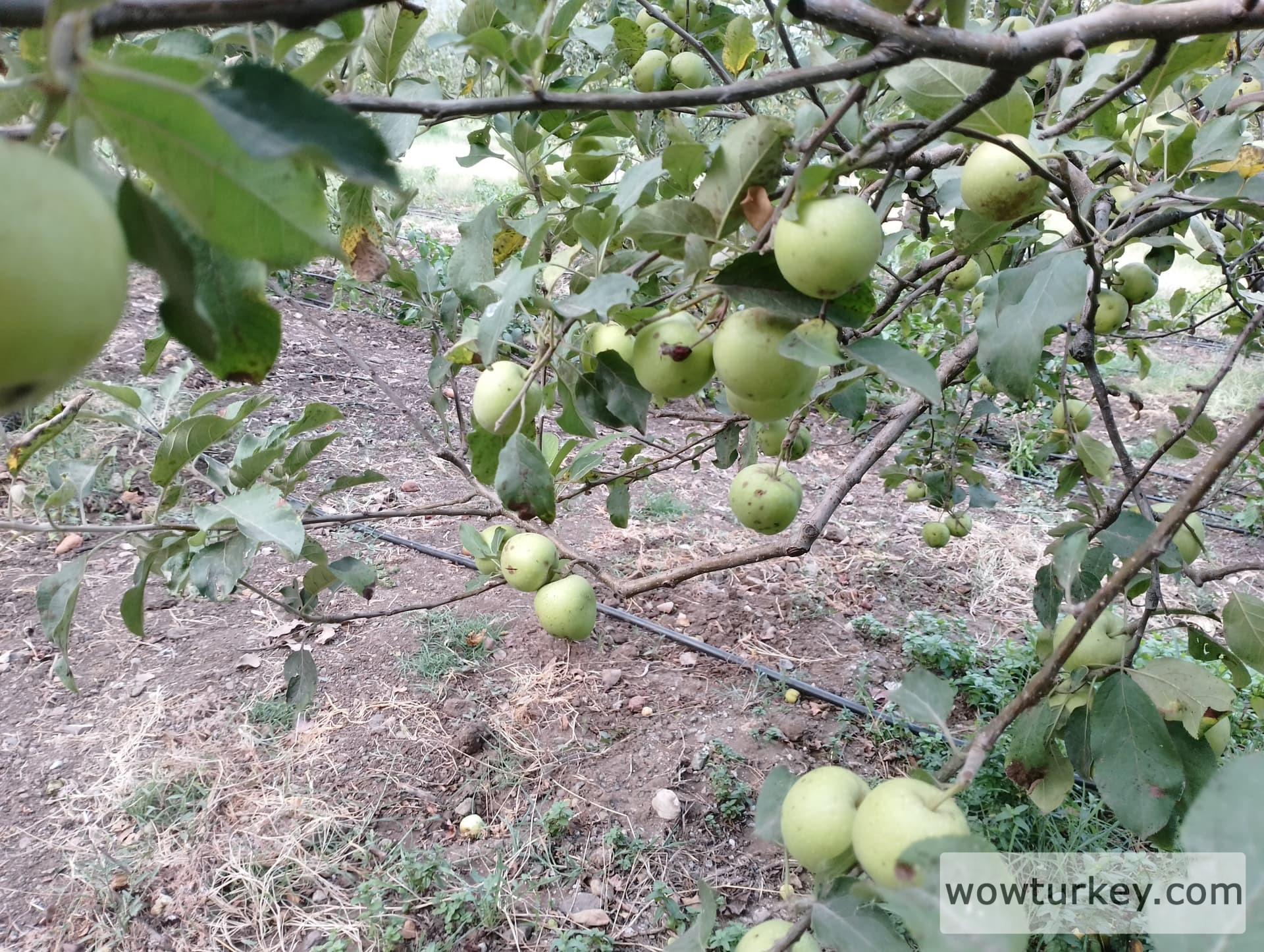 IMG_20240713_190238_HDR