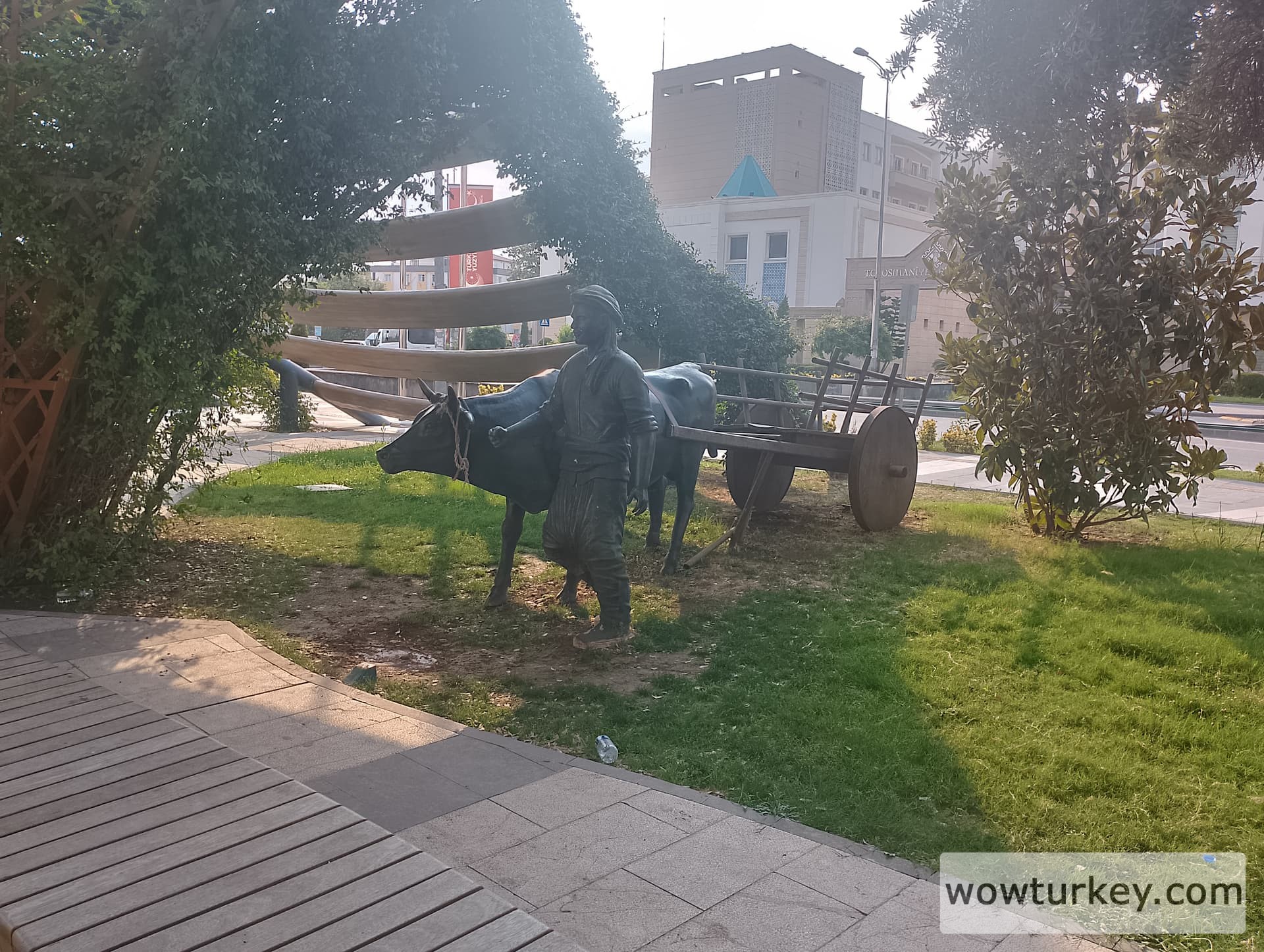 IMG_20240714_173345_HDR