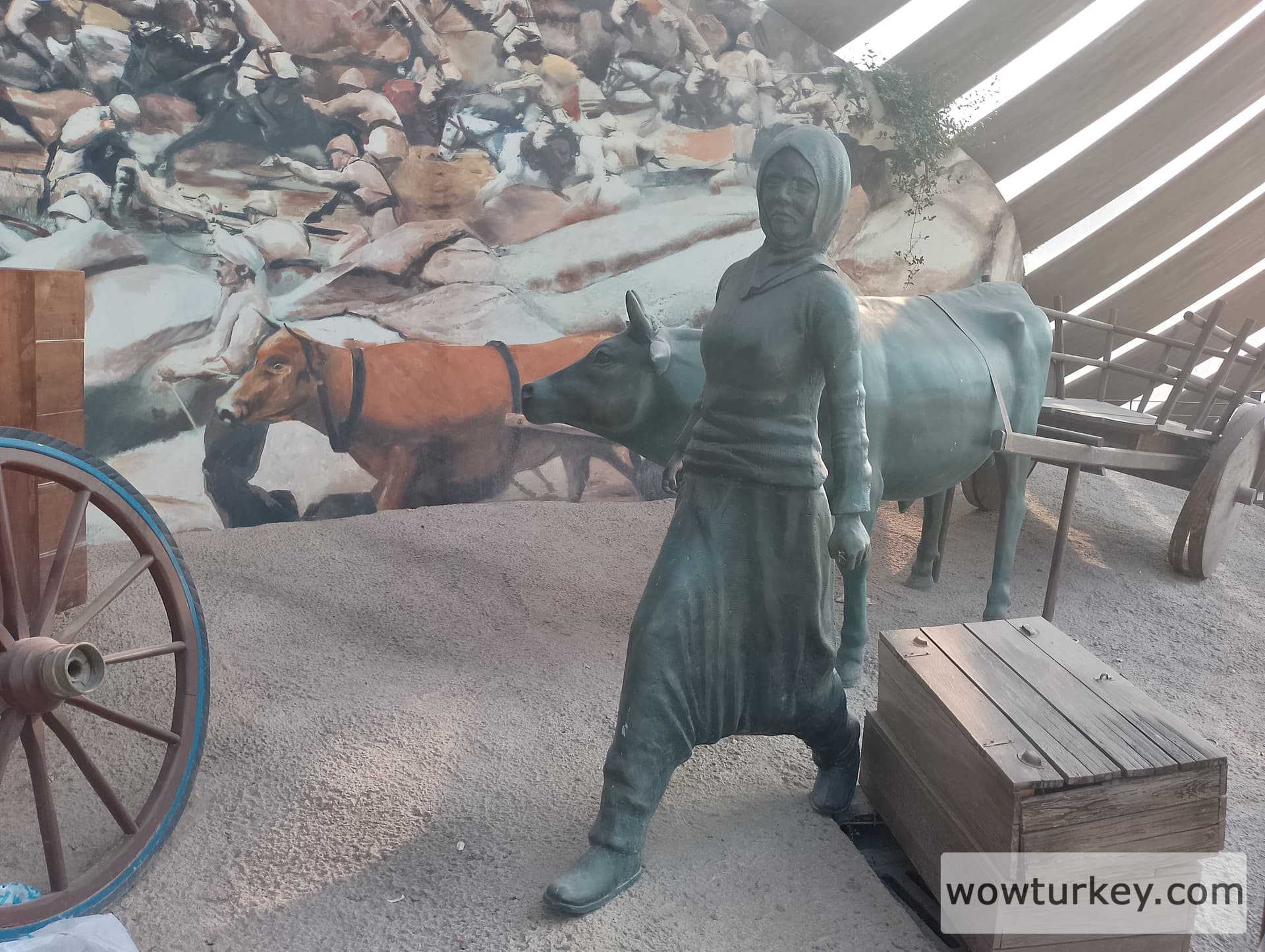 IMG_20240714_173456_HDR