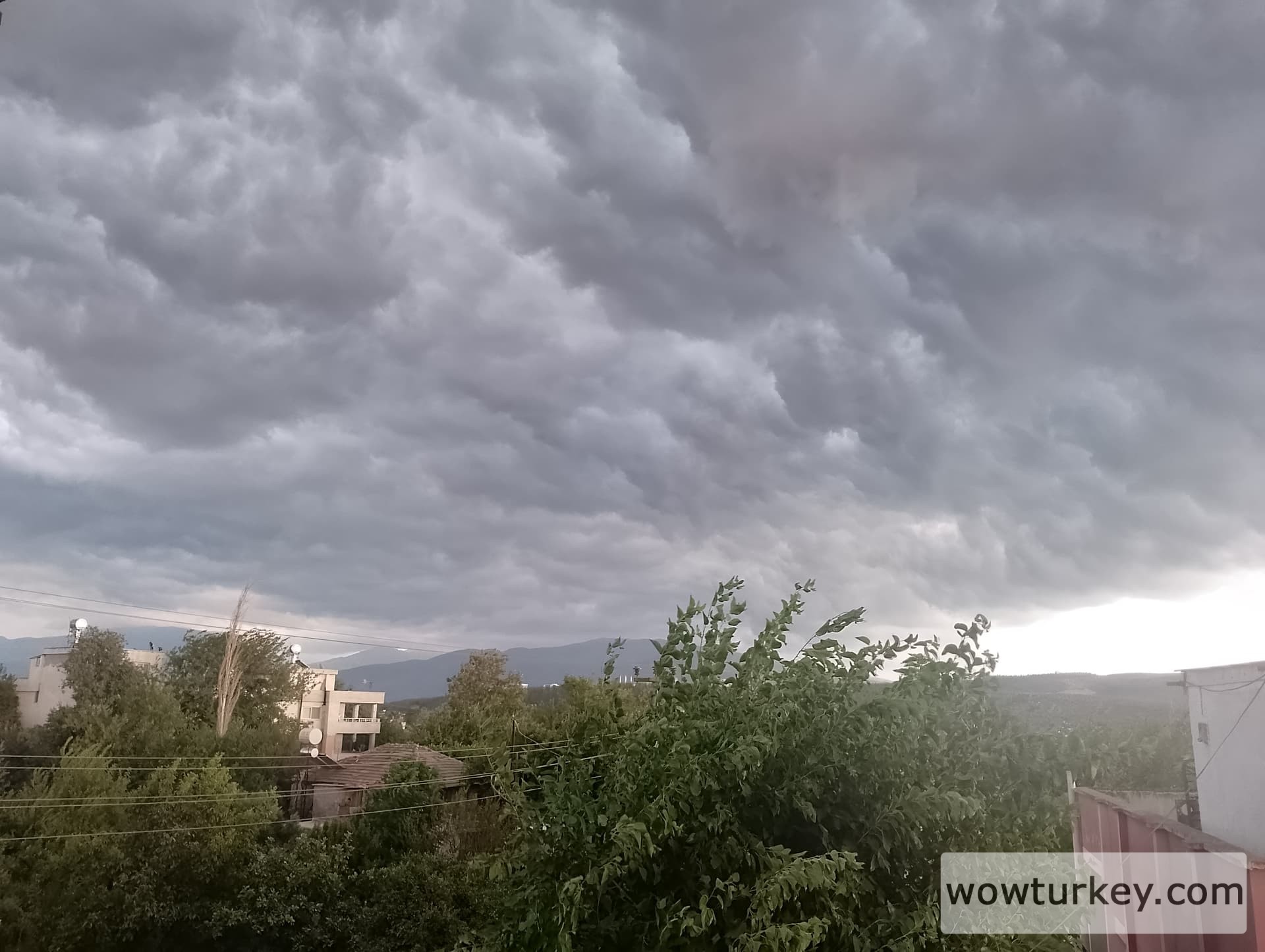 IMG_20240715_182603_HDR