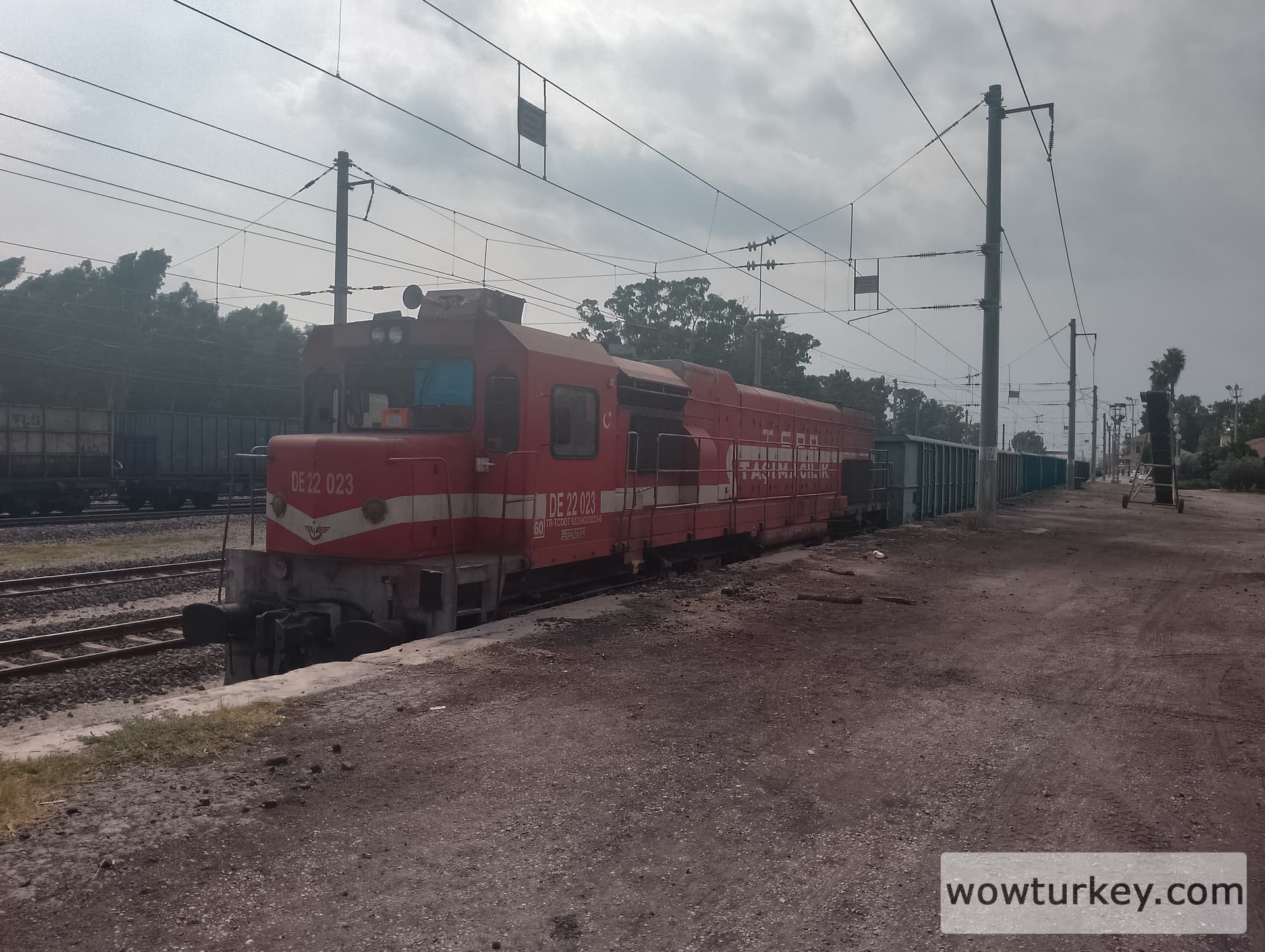 IMG_20240724_153114_HDR