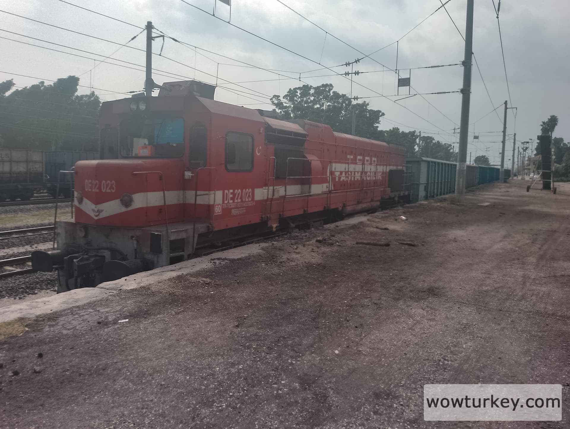 IMG_20240724_153117_HDR