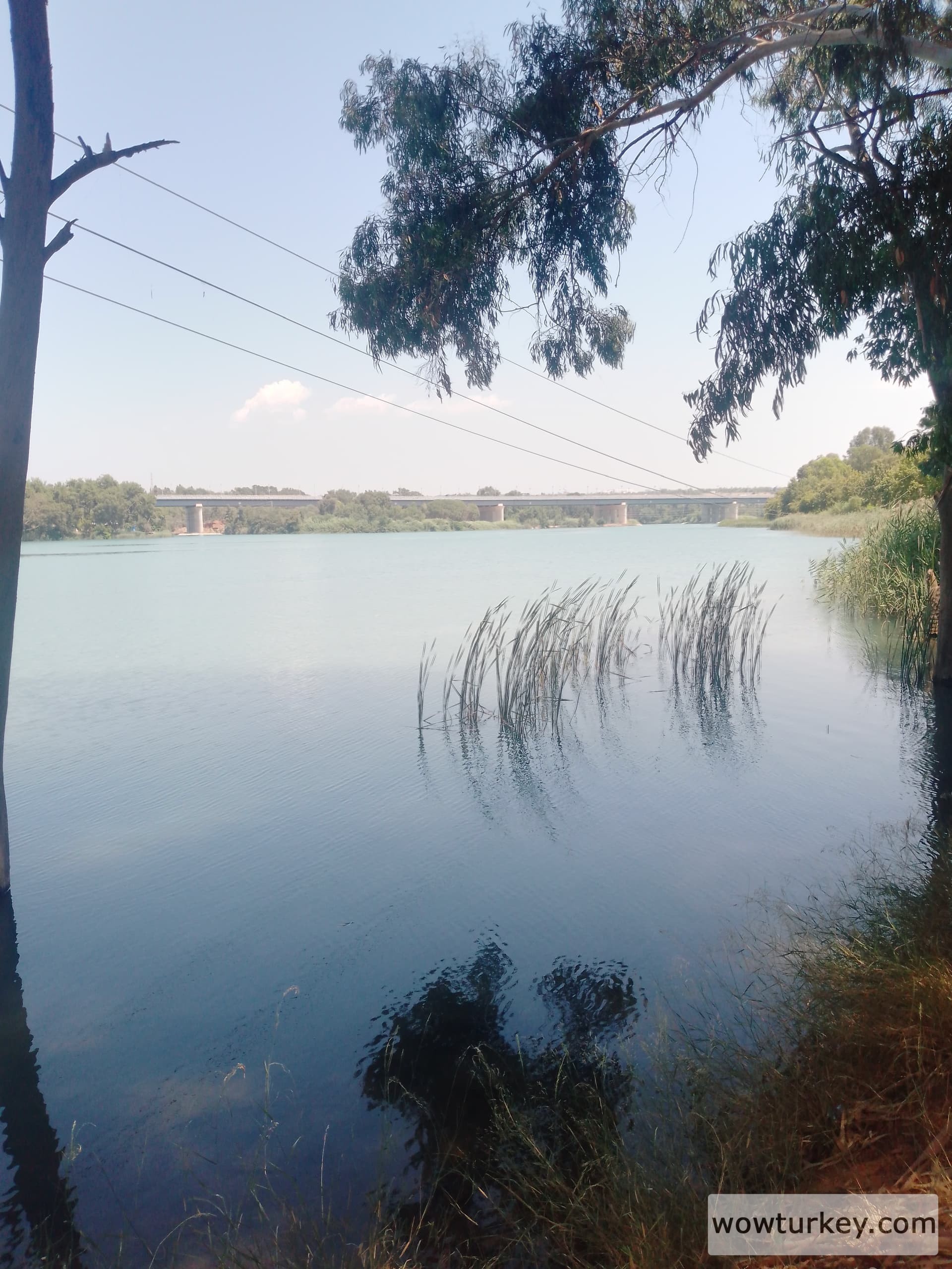 IMG_20240801_115853_444