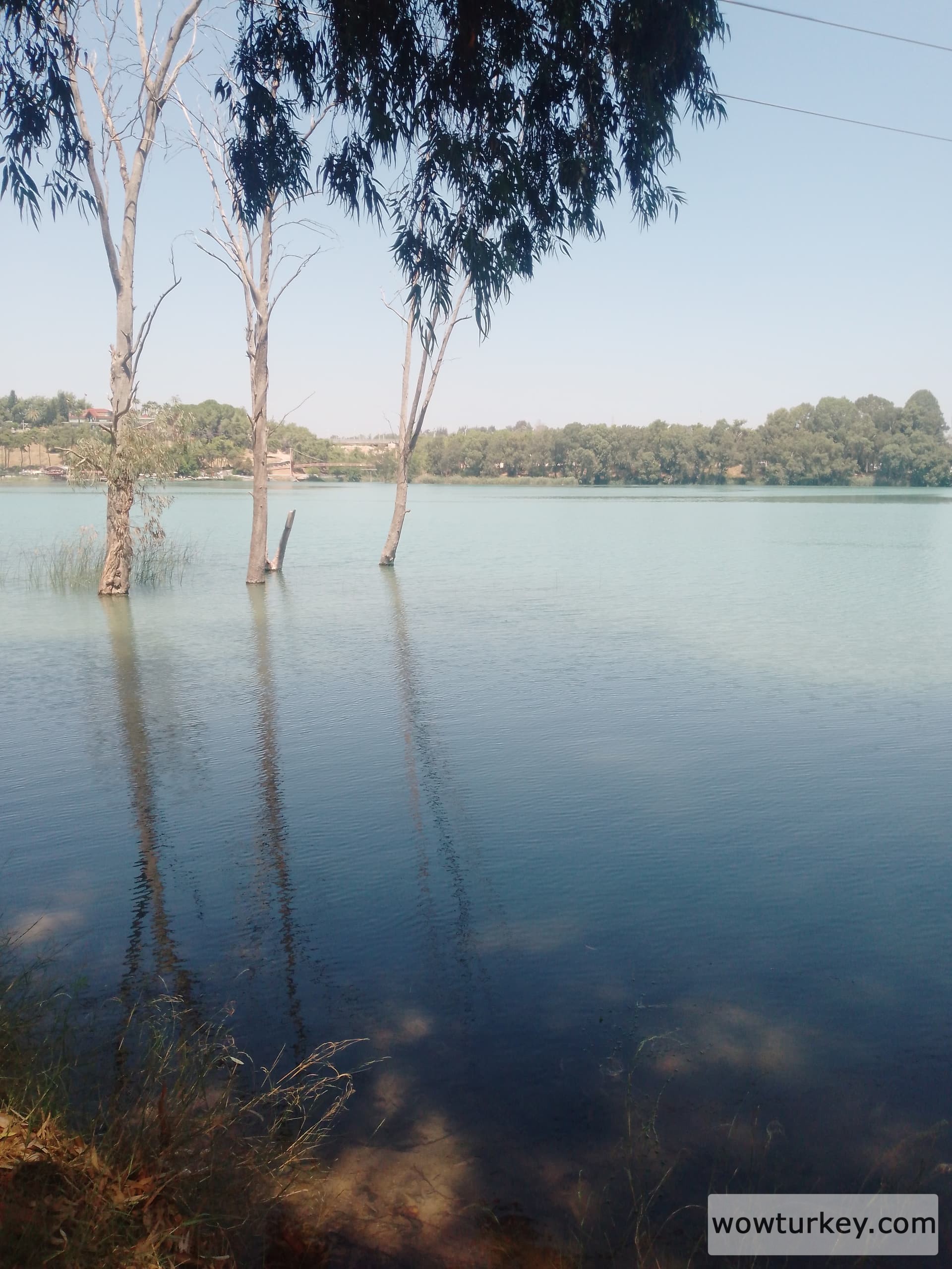 IMG_20240801_115855_809