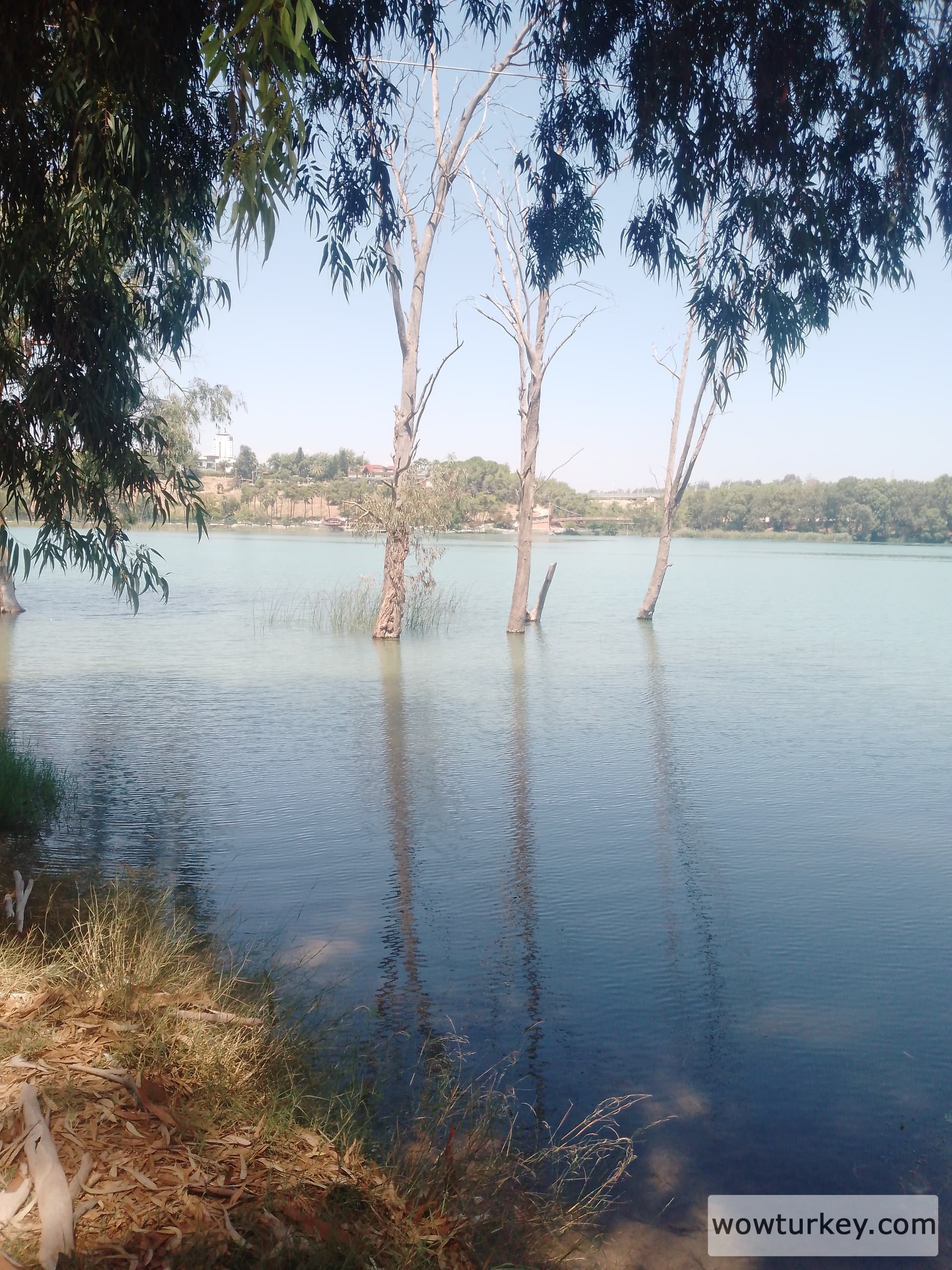 IMG_20240801_115859_375